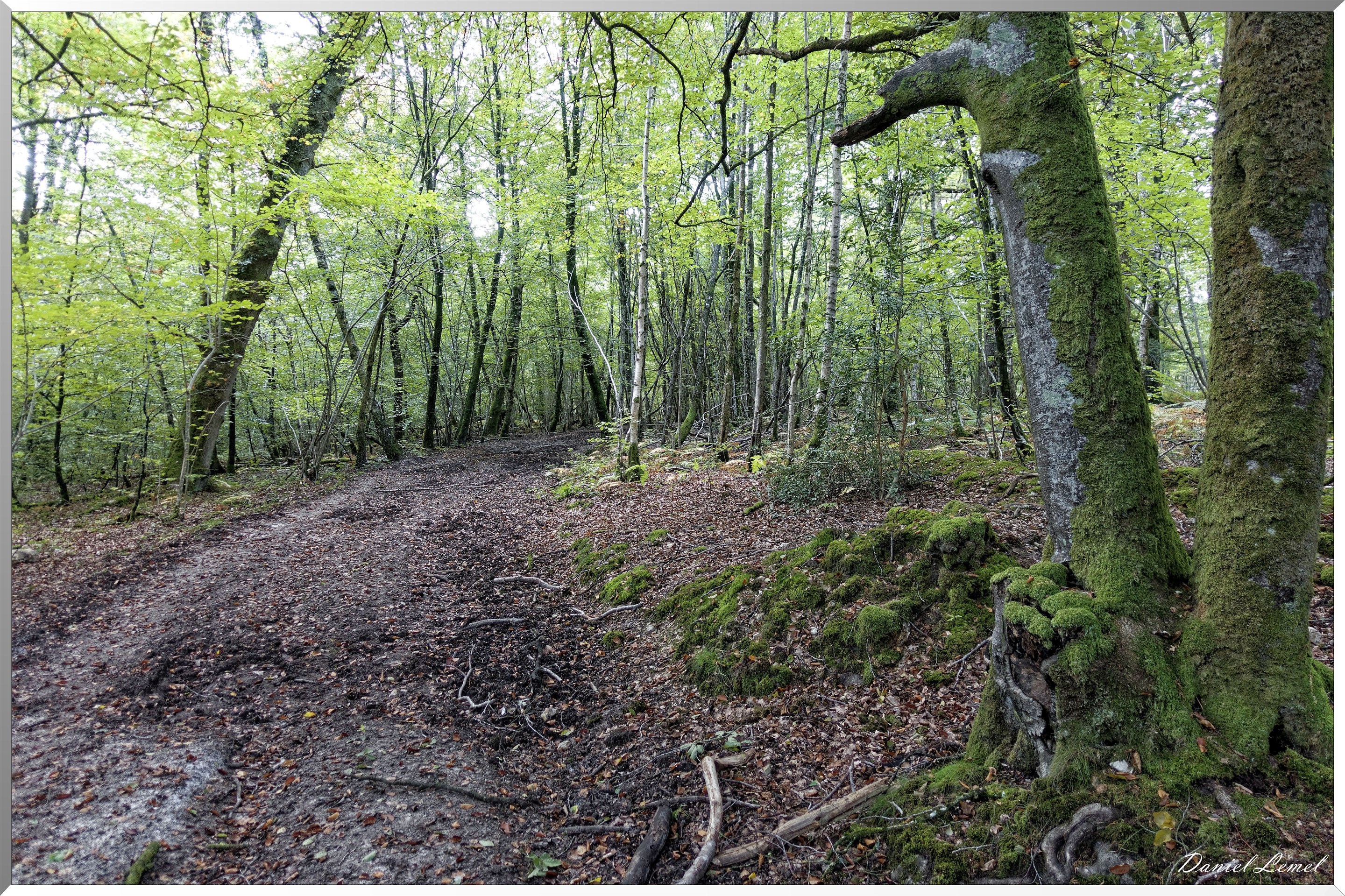 St-Evroult-Notre-Dame-du-Bois