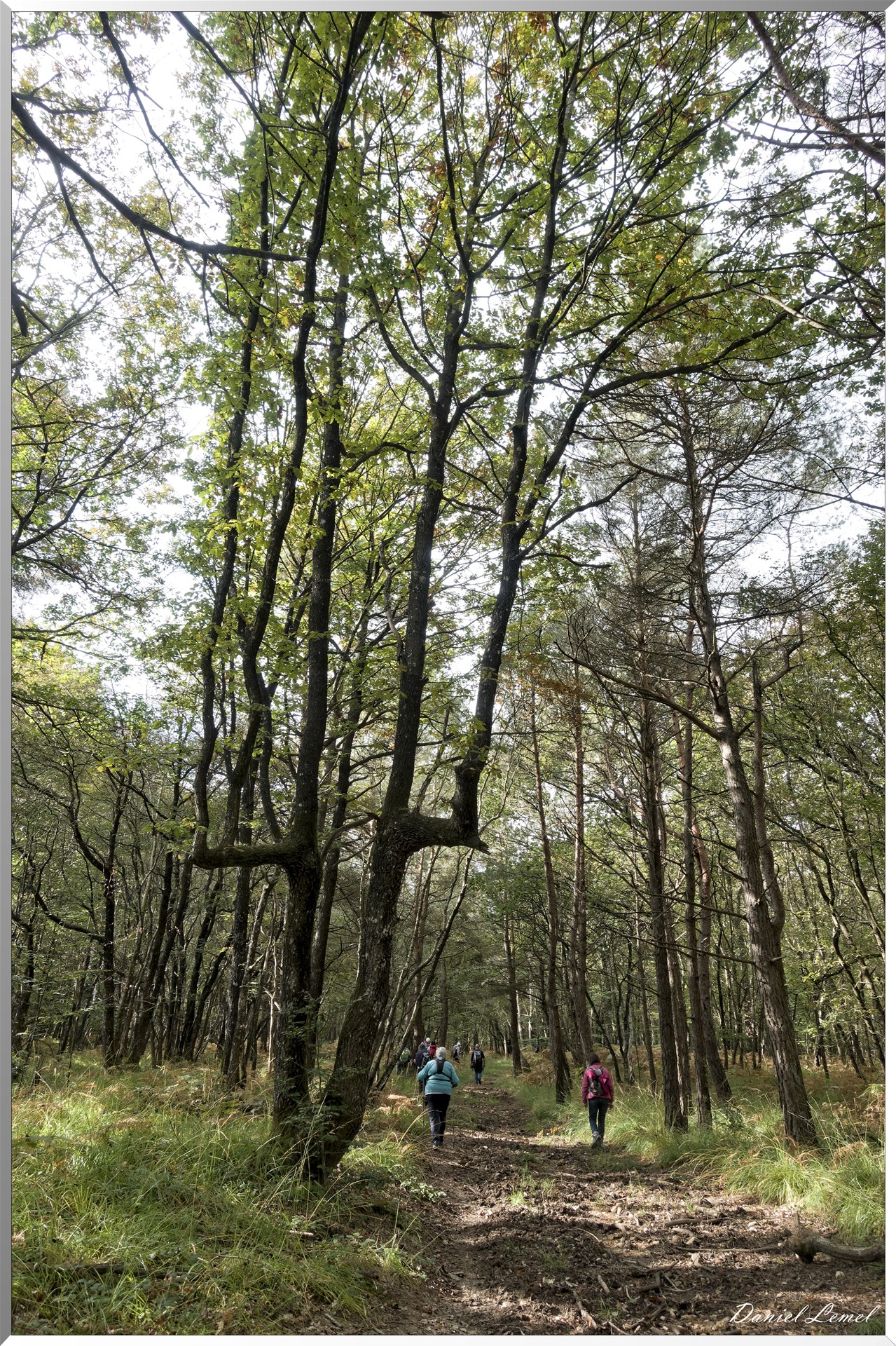 St-Evroult-Notre-Dame-du-Bois