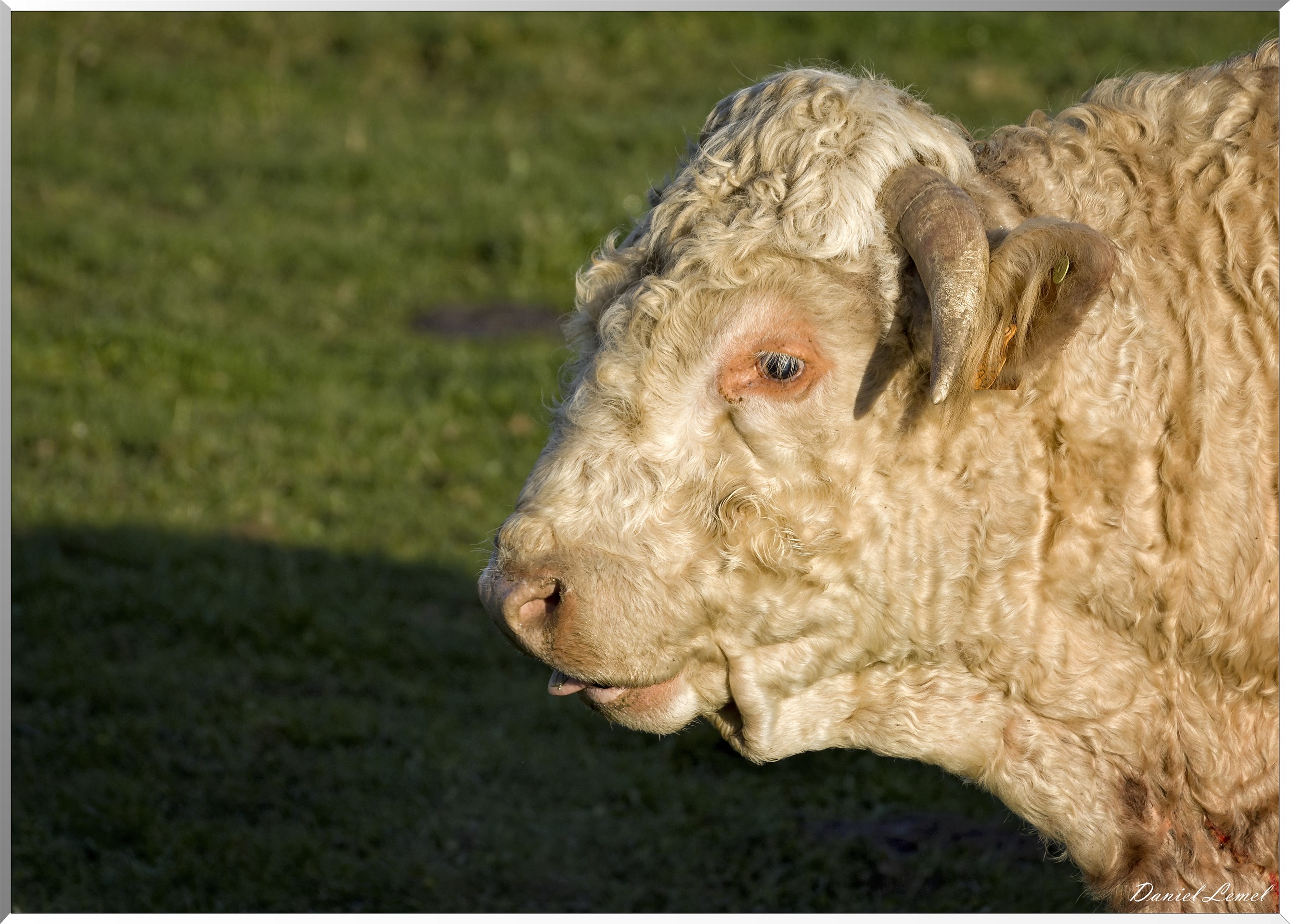 Chaussy - Villarceaux