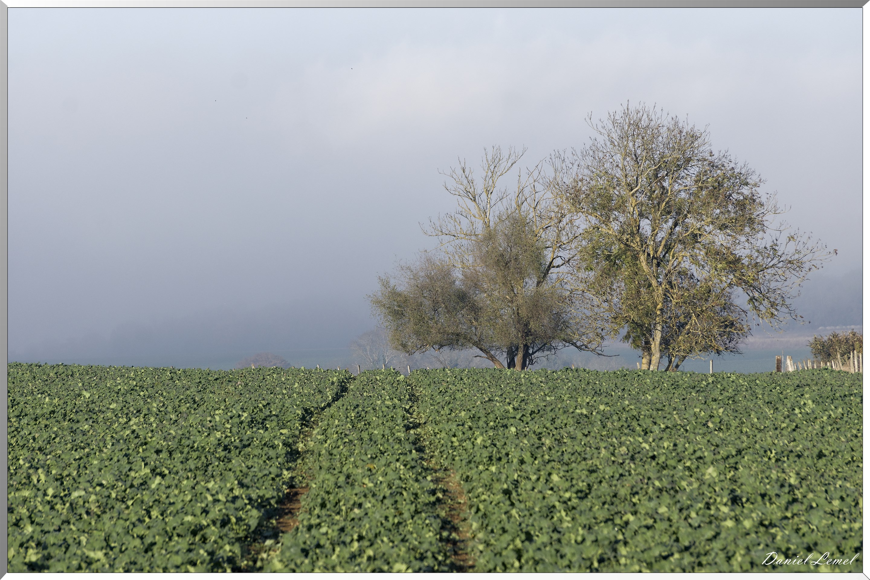 Chaussy - Villarceaux