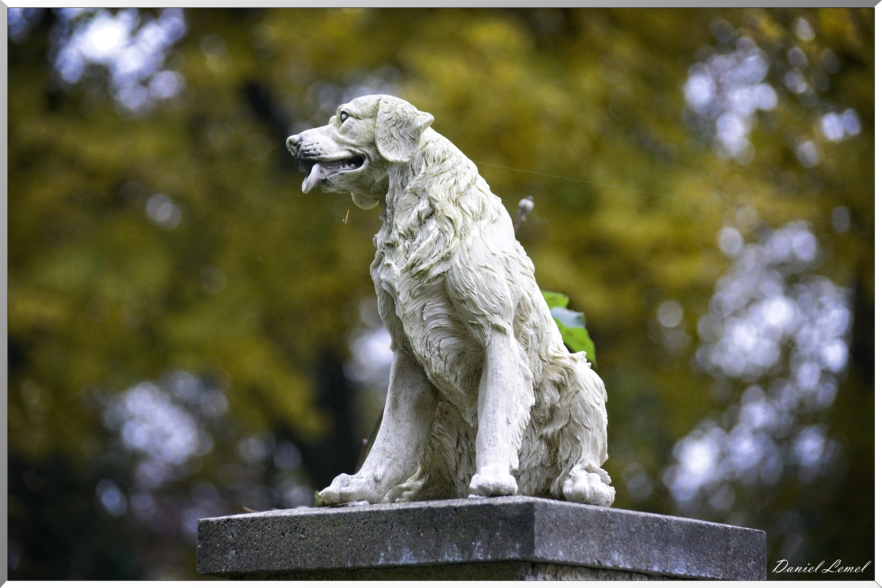 Pressagny l'orgueilleux