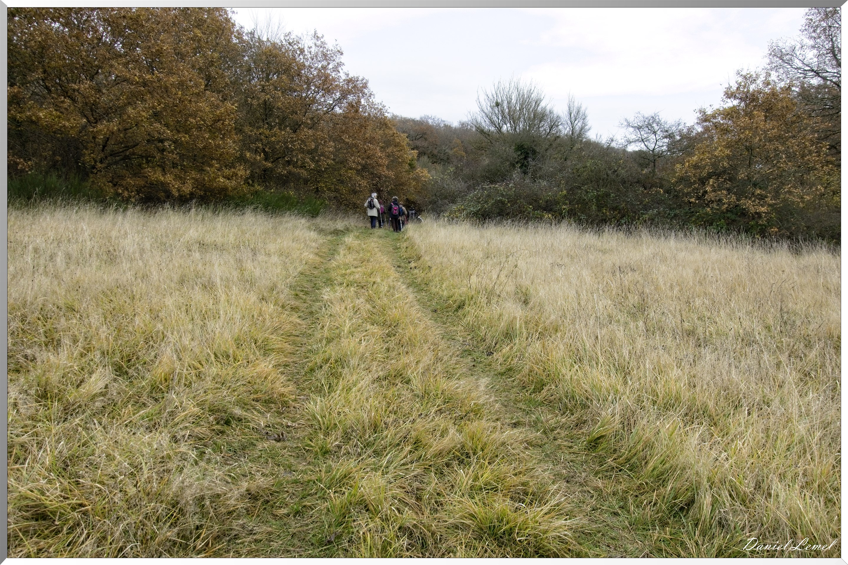 Les-collines de Vernonnet