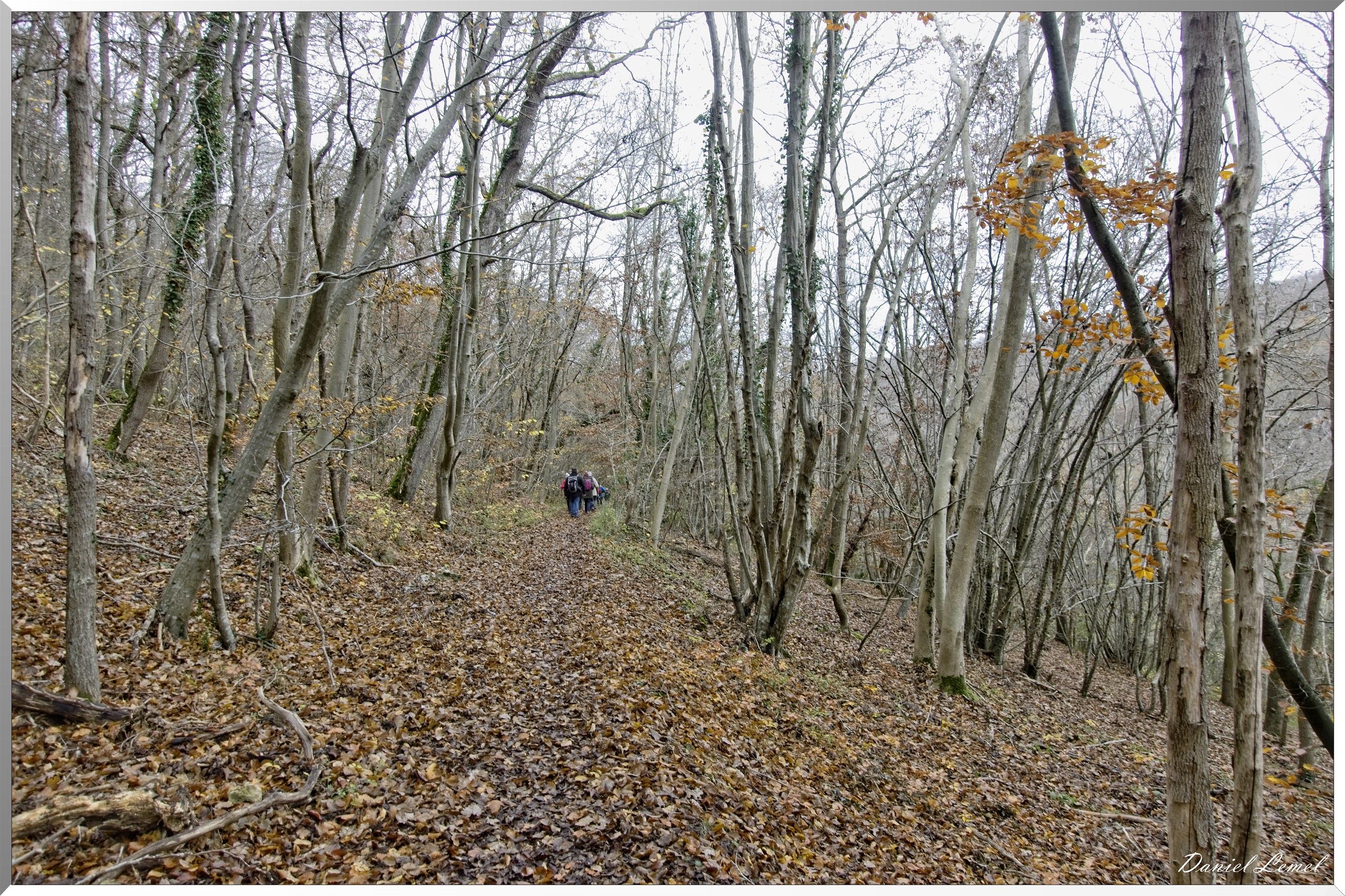 Les-collines de Vernonnet