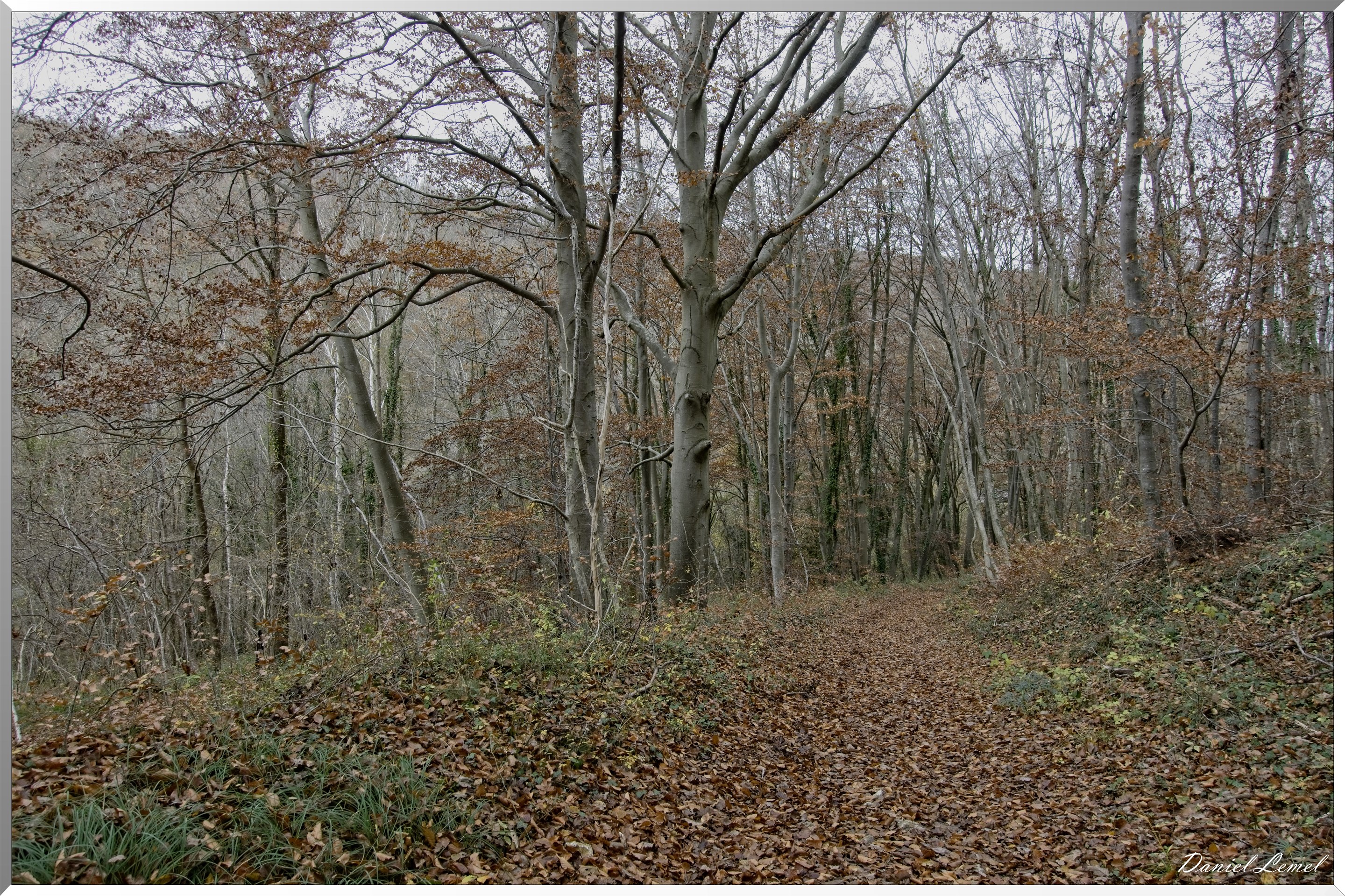 Les-collines de Vernonnet