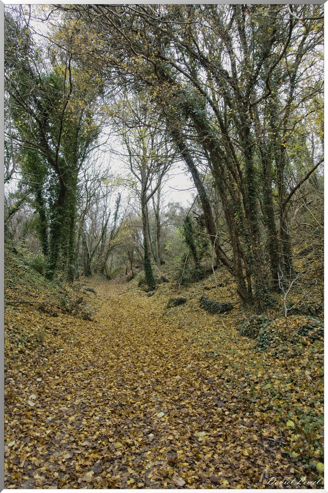 Les-collines de Vernonnet