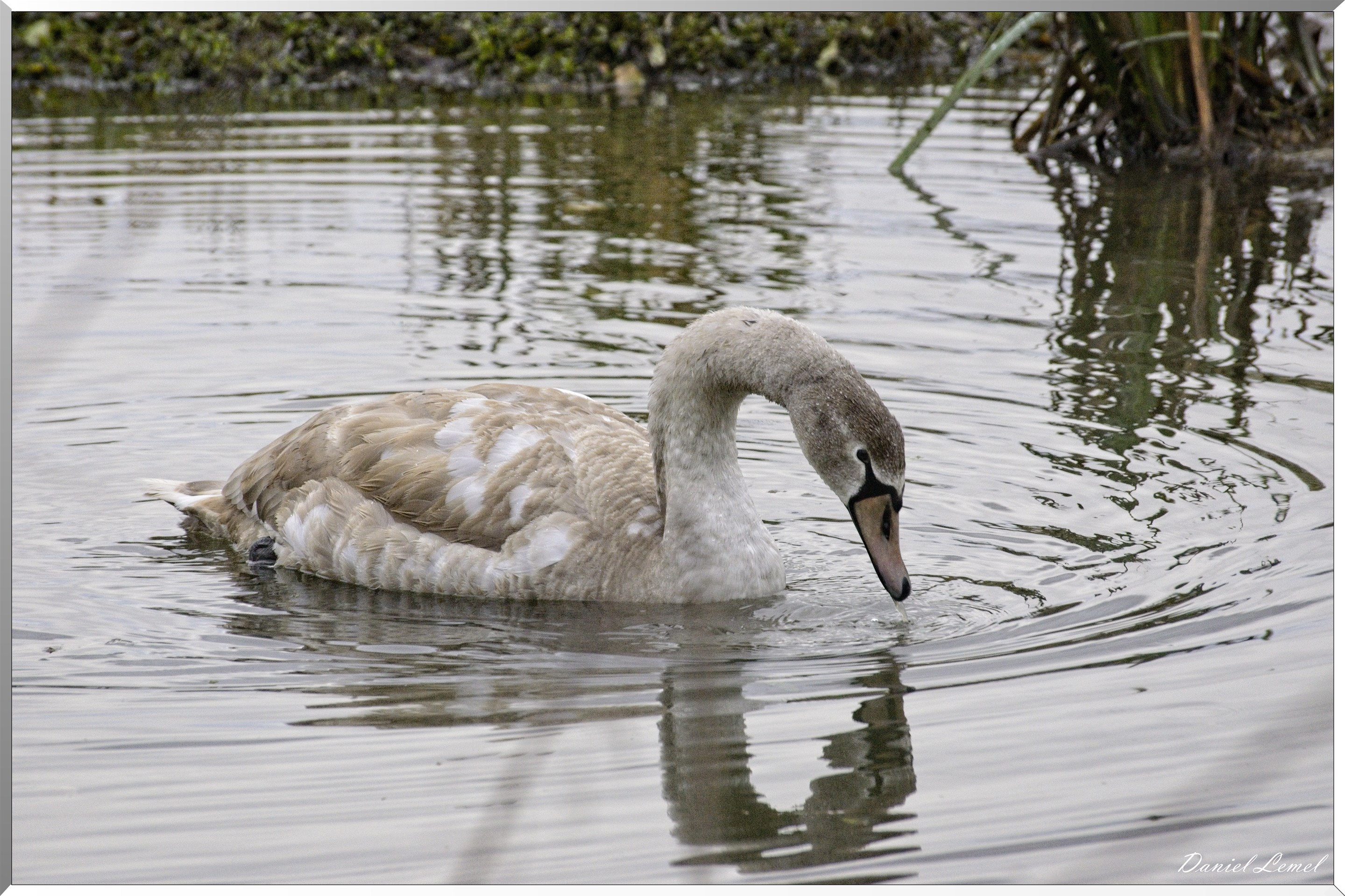 Les-collines de Vernonnet