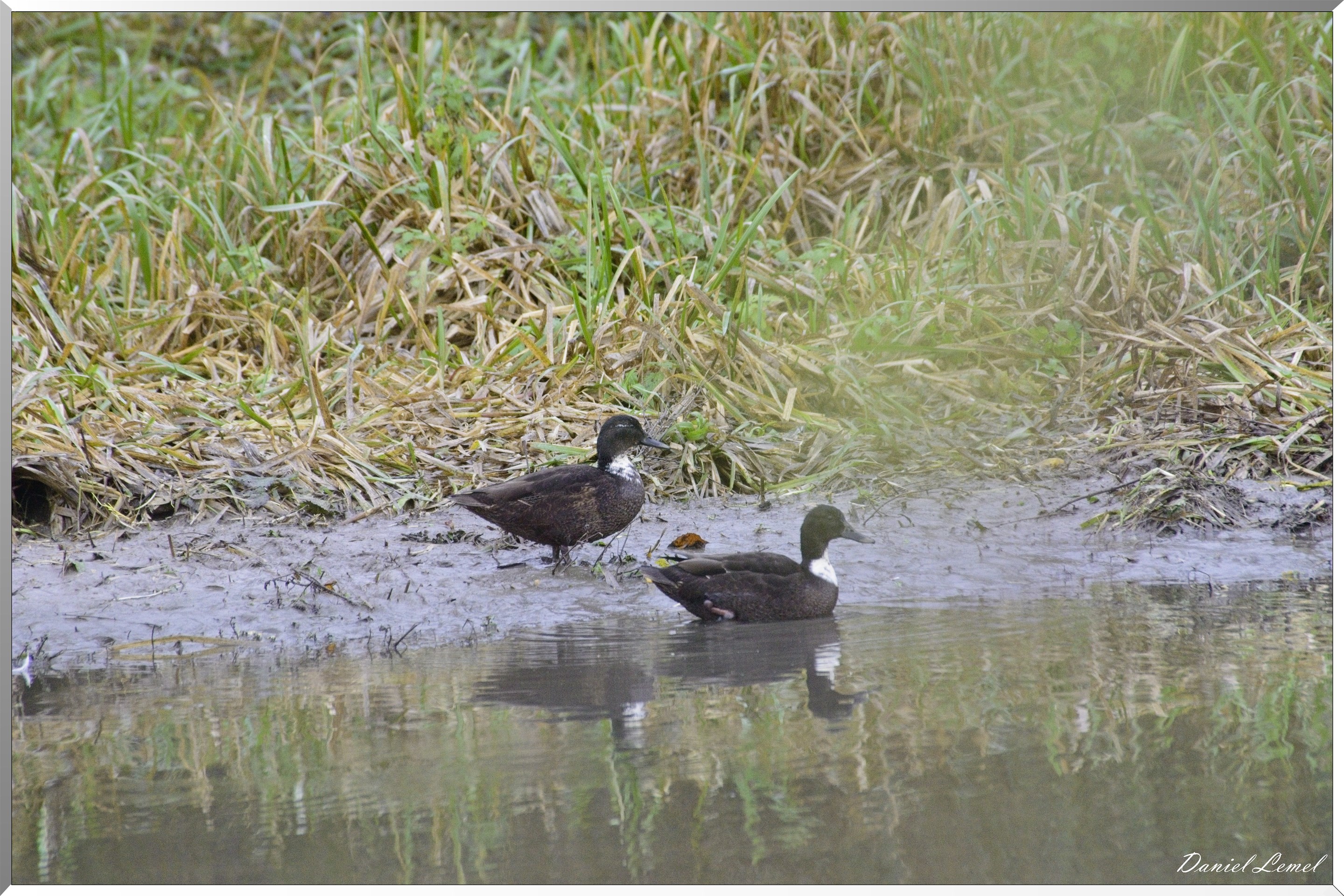 Les-collines de Vernonnet