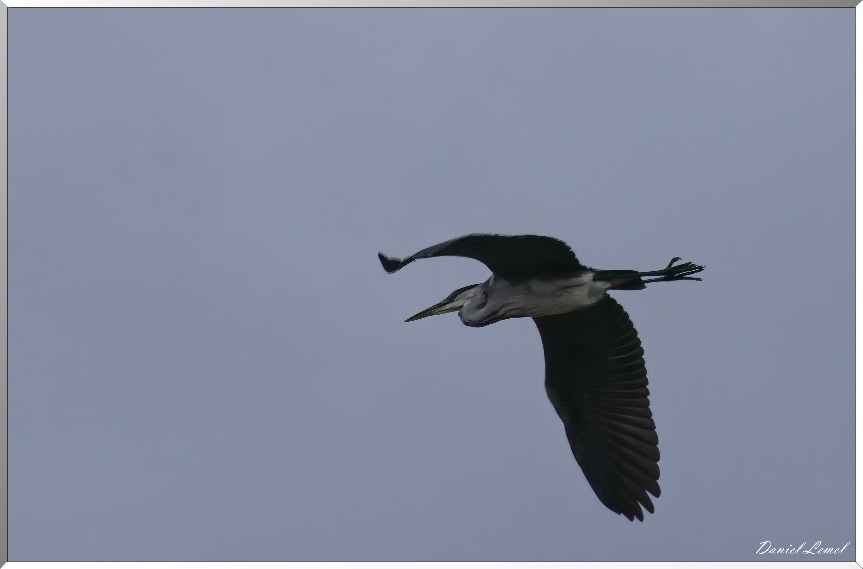 Les-collines de Vernonnet