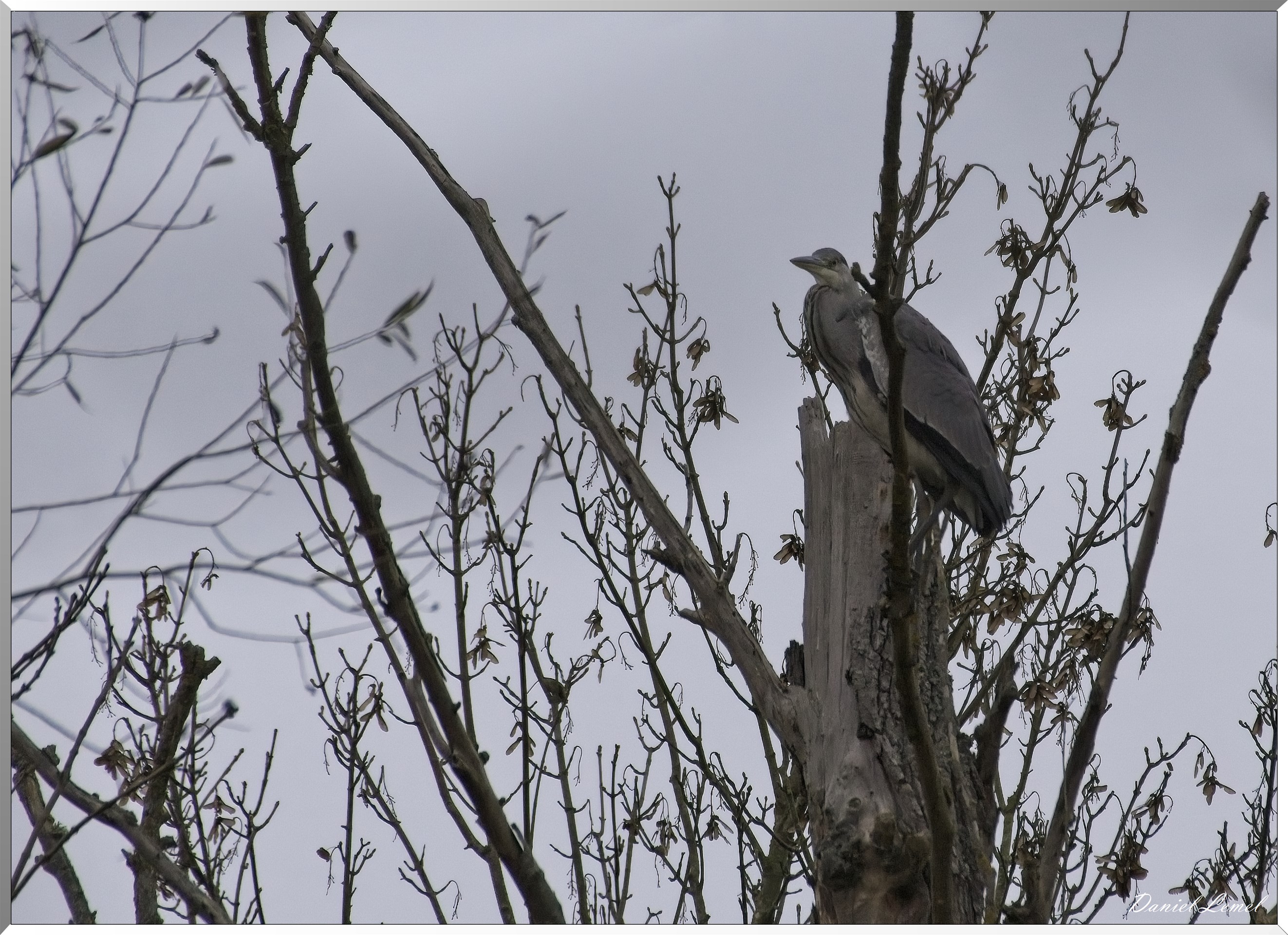 Les-collines de Vernonnet