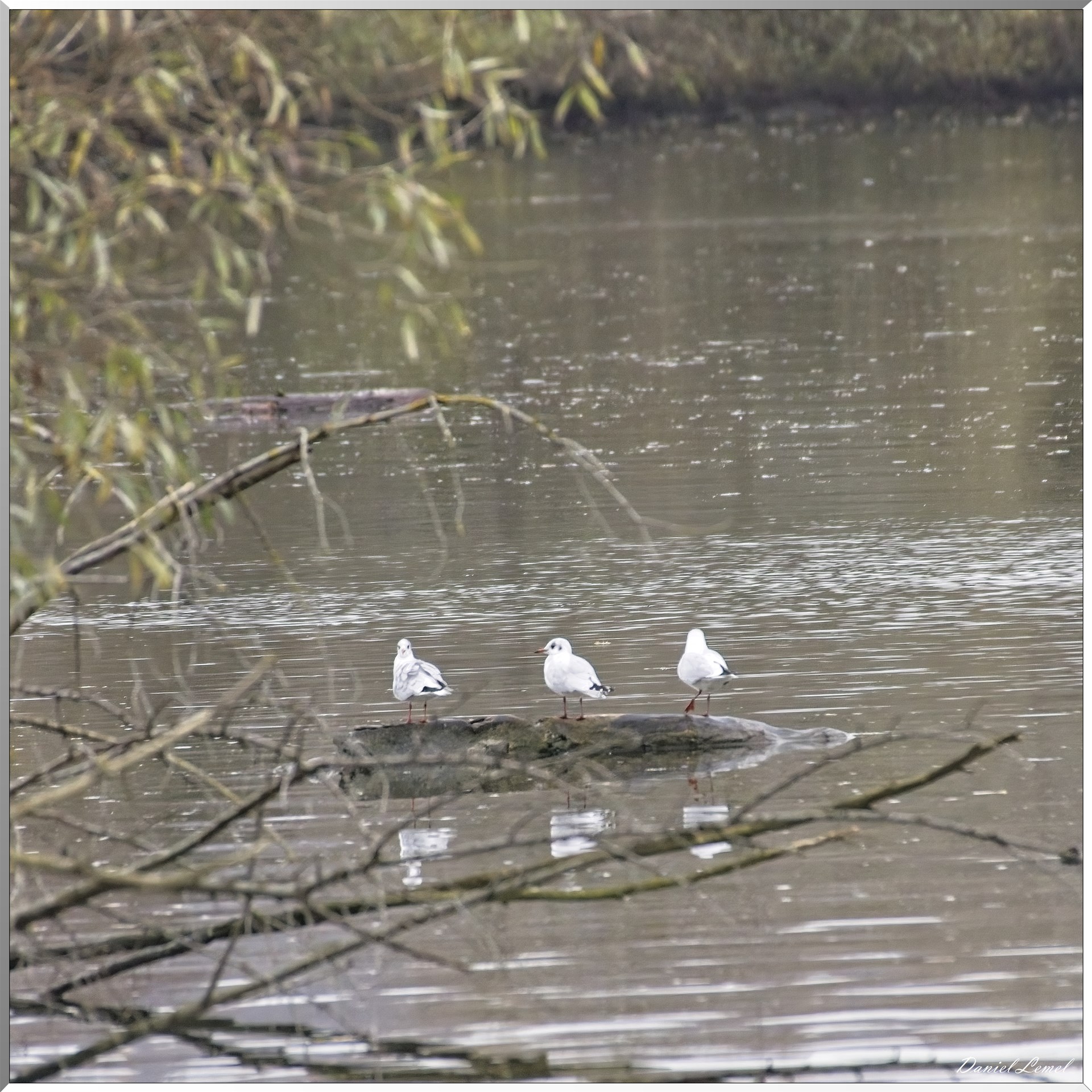 Les-collines de Vernonnet