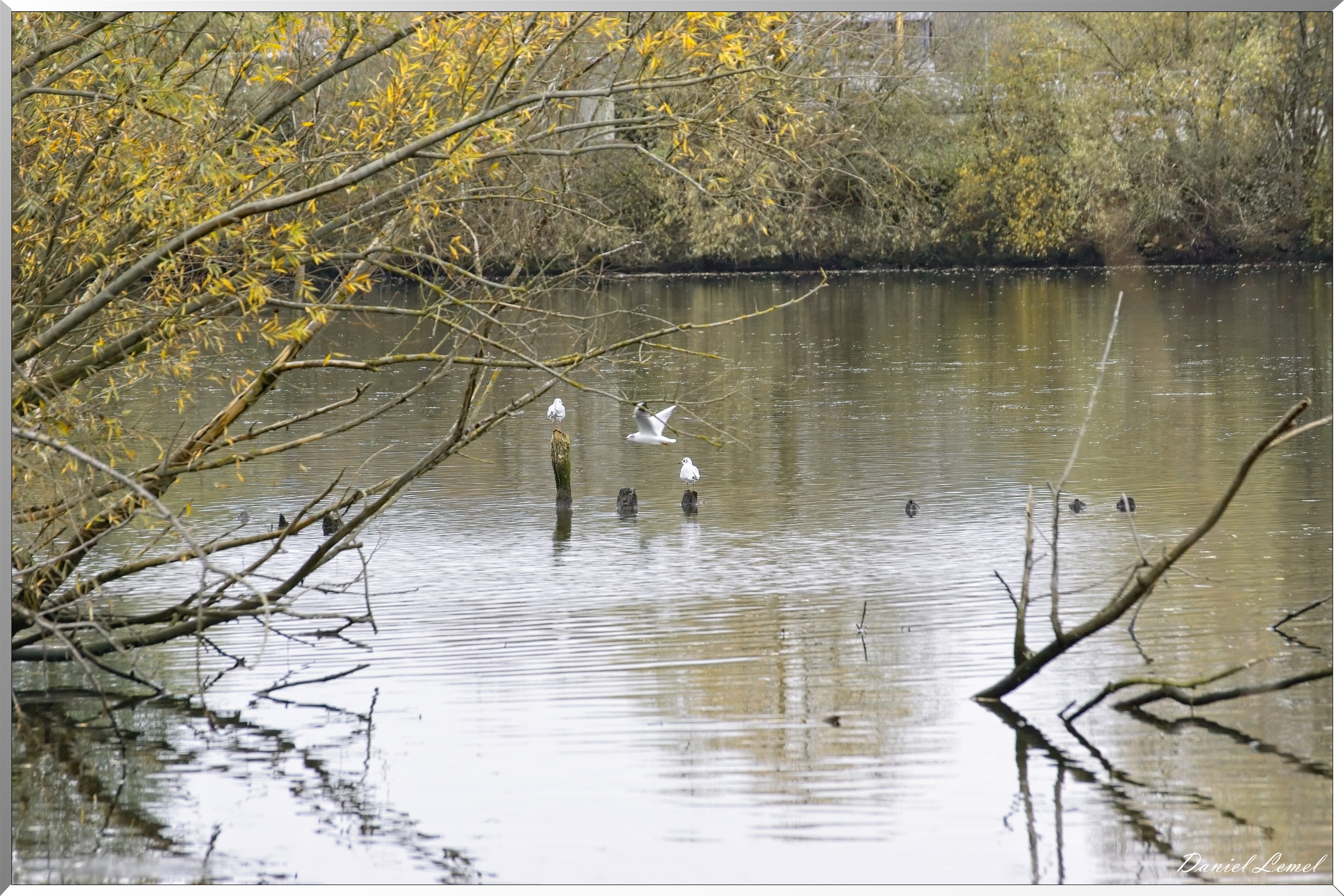 Les-collines de Vernonnet