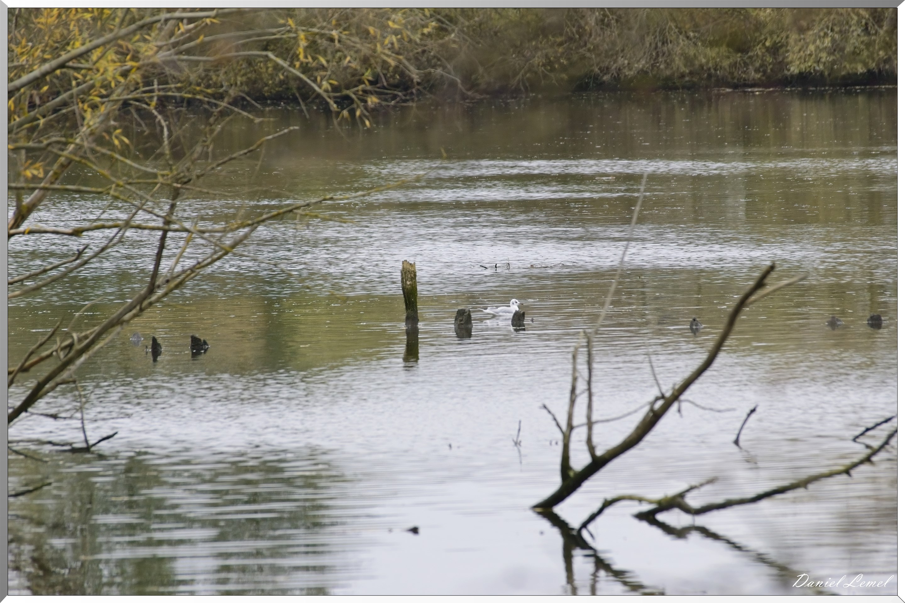 Les-collines de Vernonnet