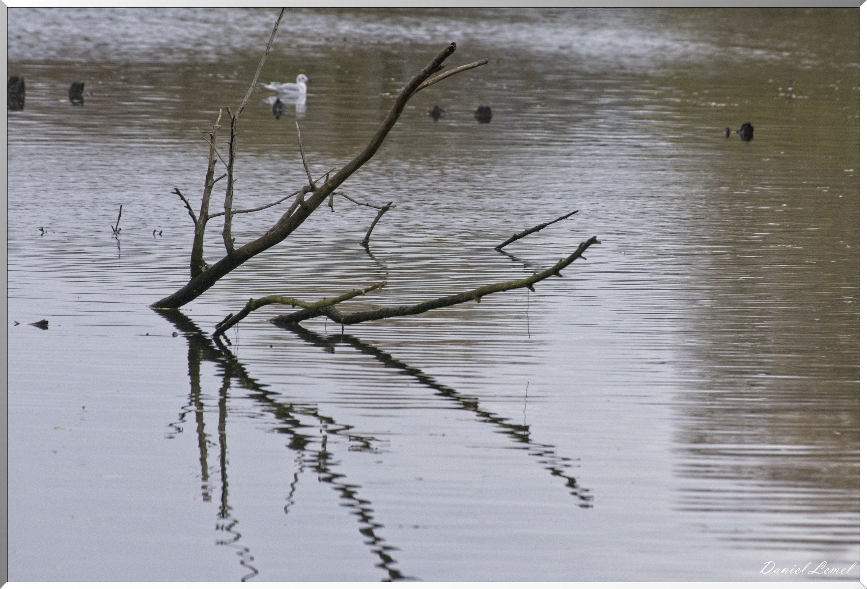 Les-collines de Vernonnet