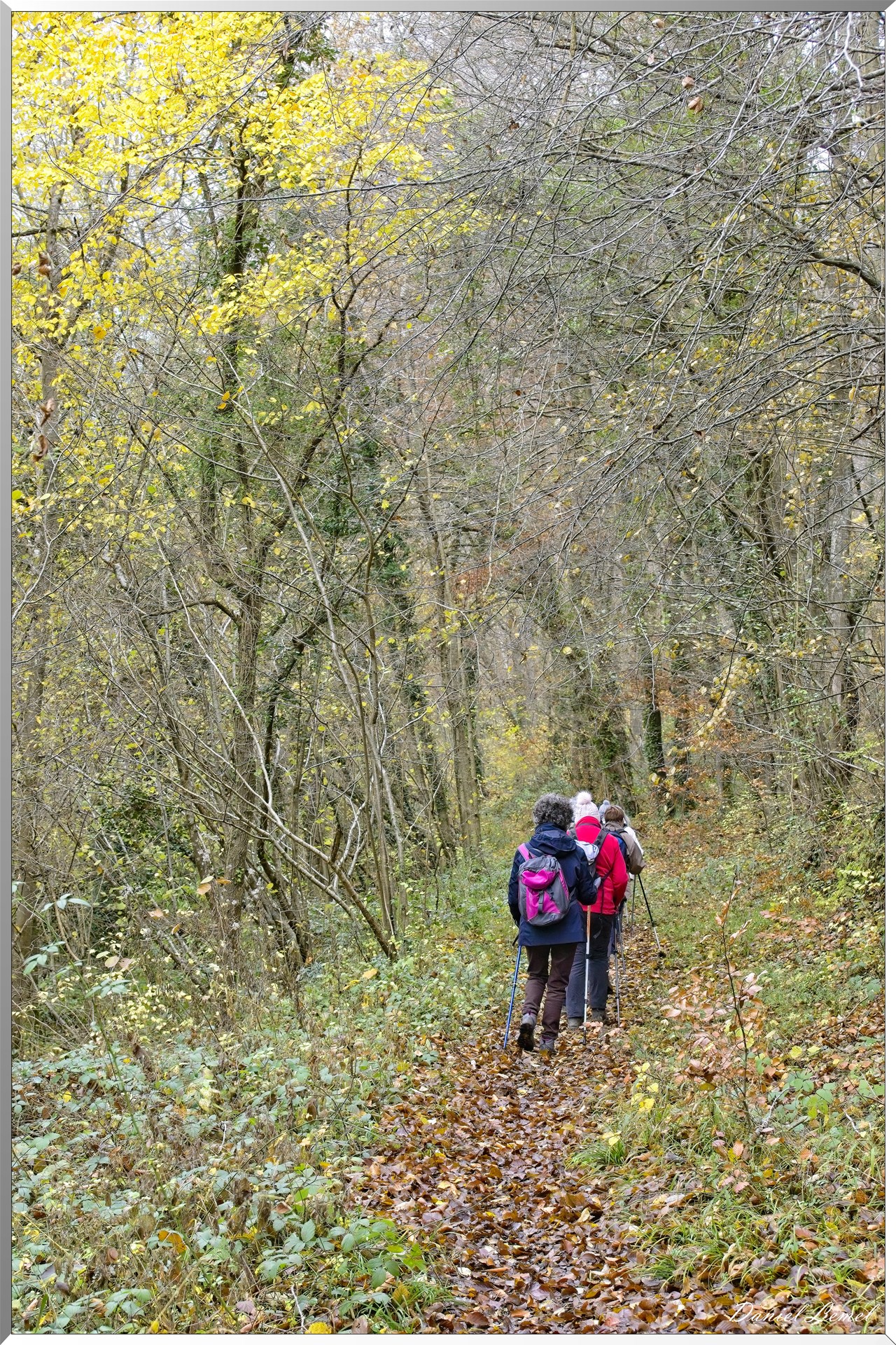 Les-collines de Vernonnet