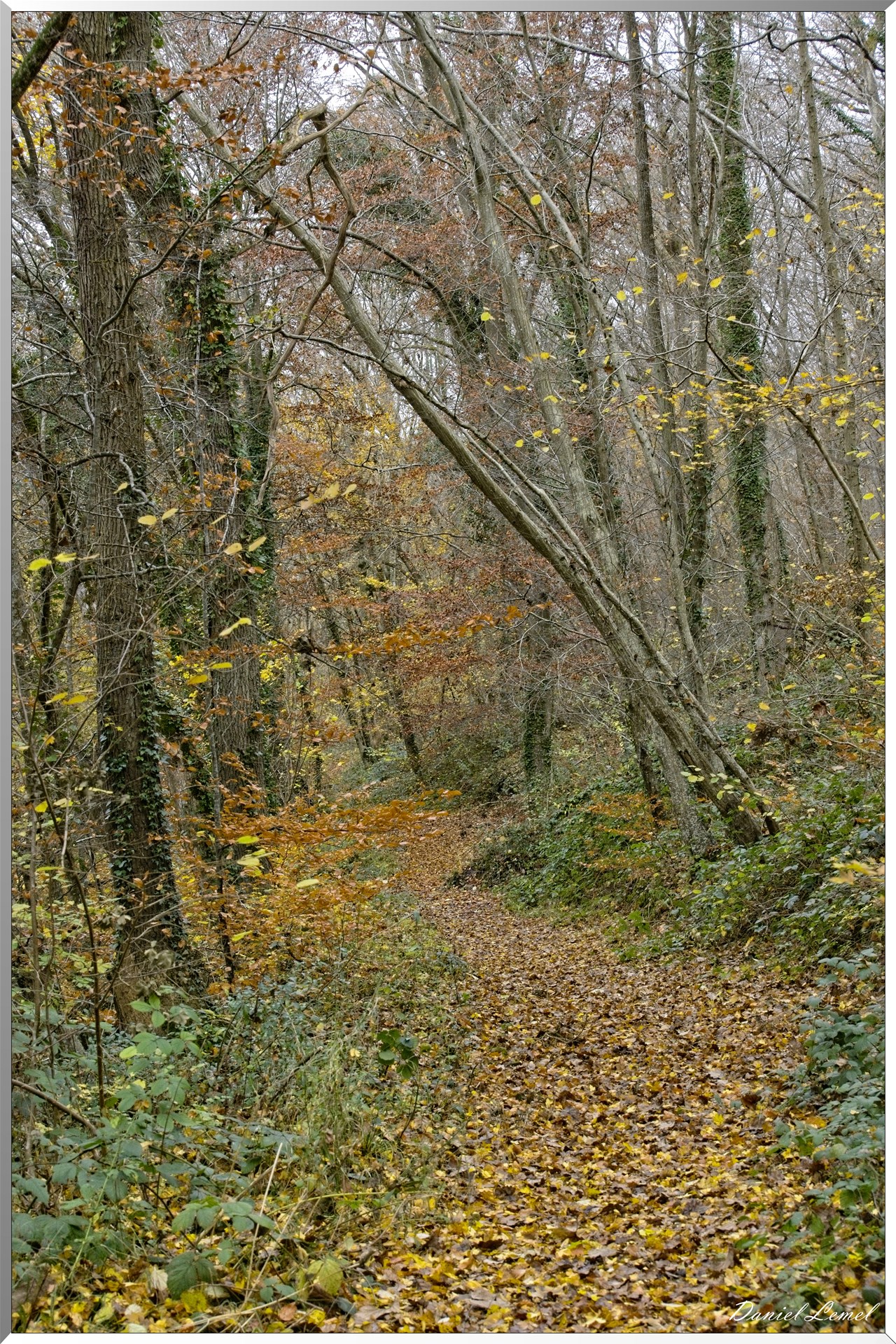 Les-collines de Vernonnet