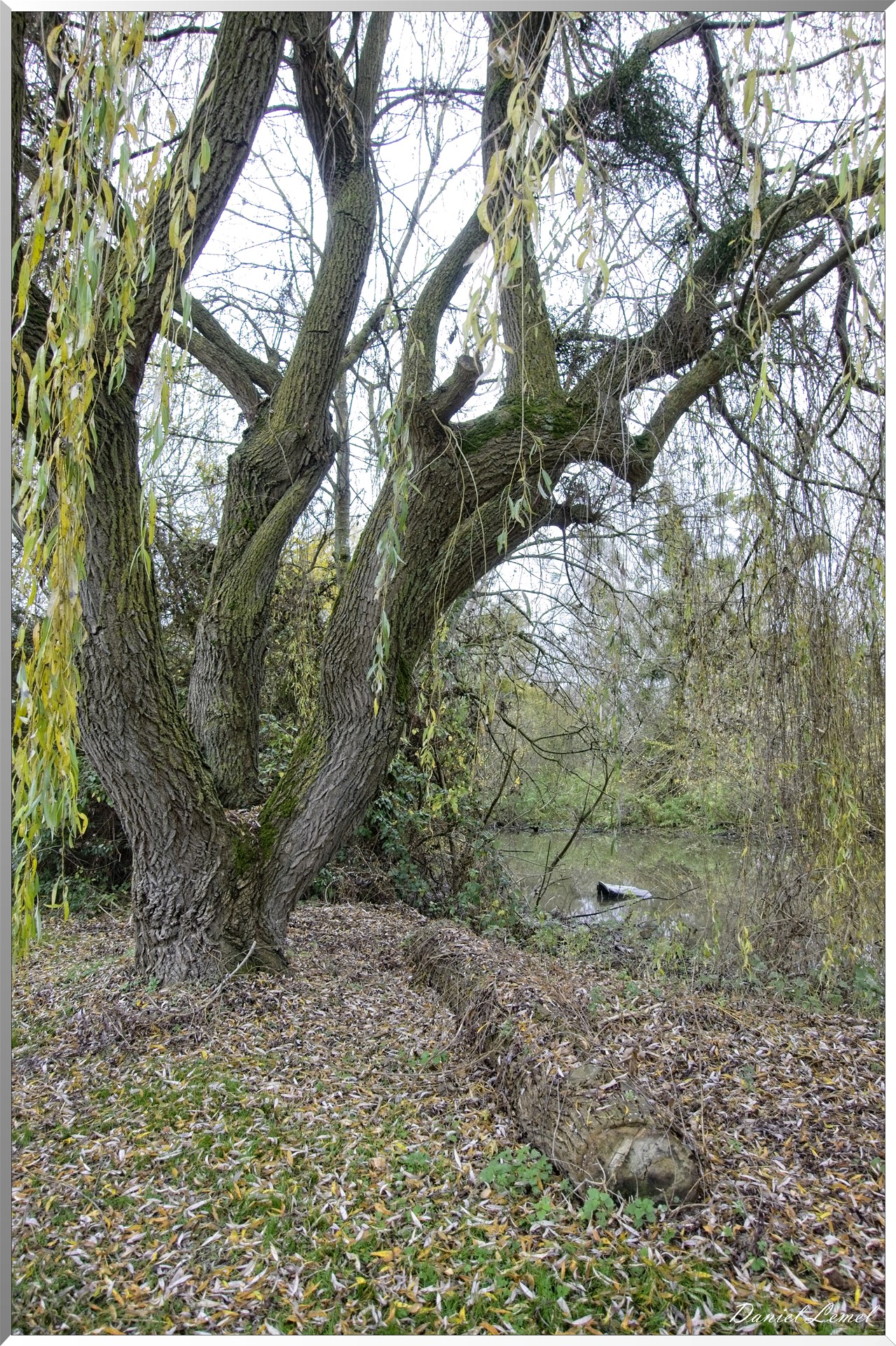 Les-collines de Vernonnet