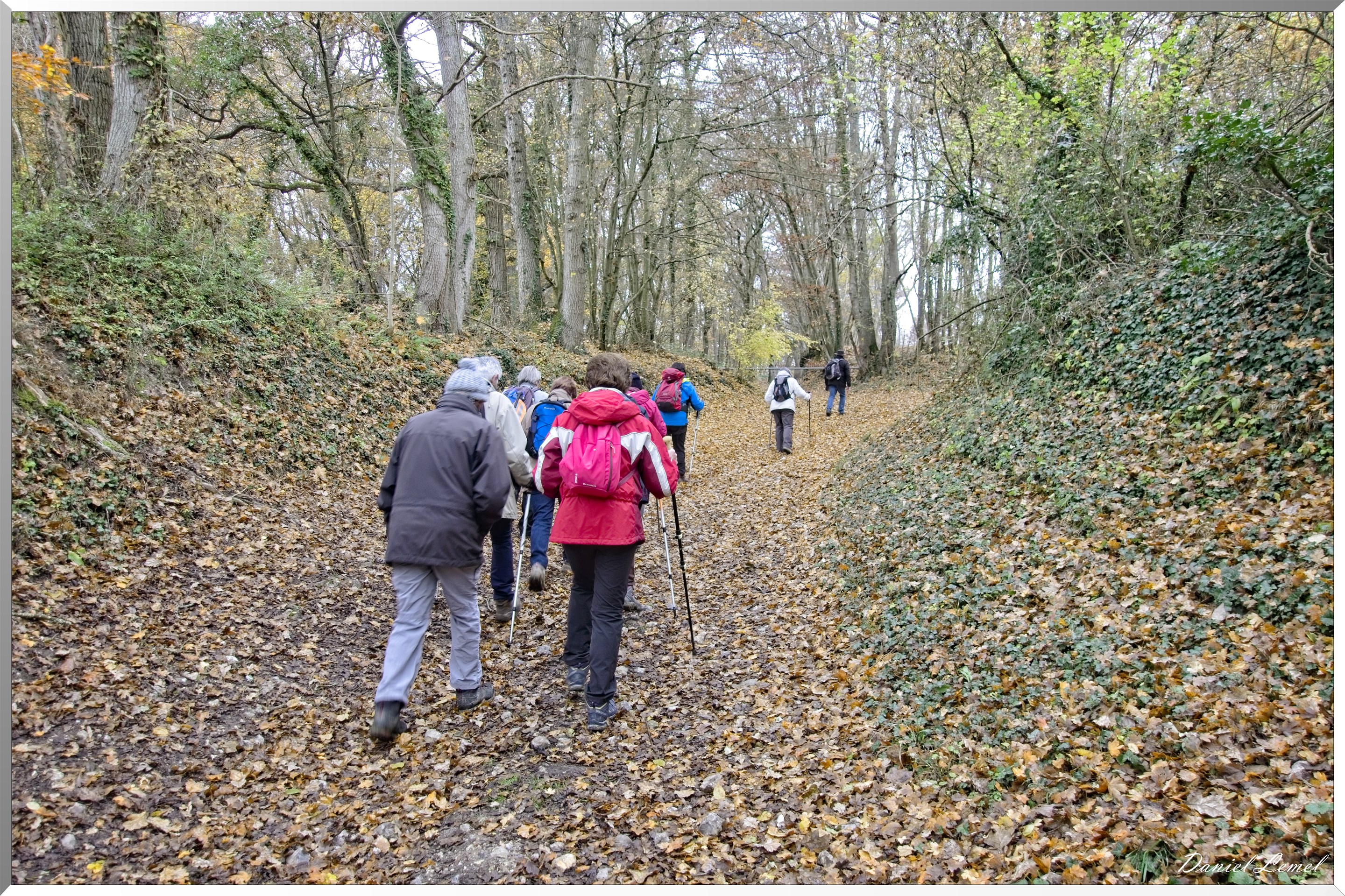 Les-collines de Vernonnet