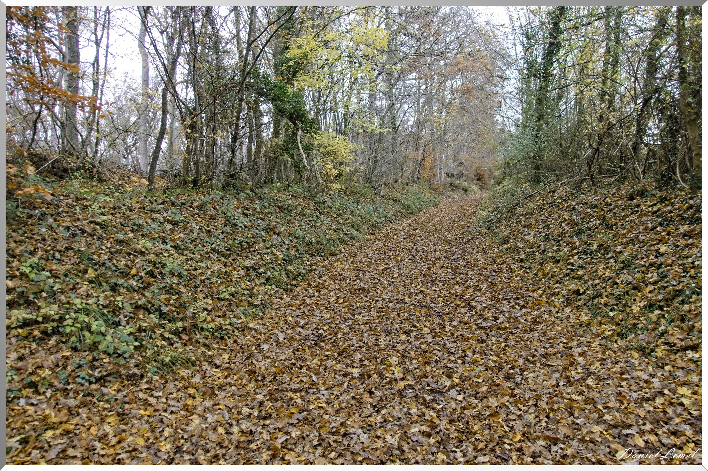 Les-collines de Vernonnet