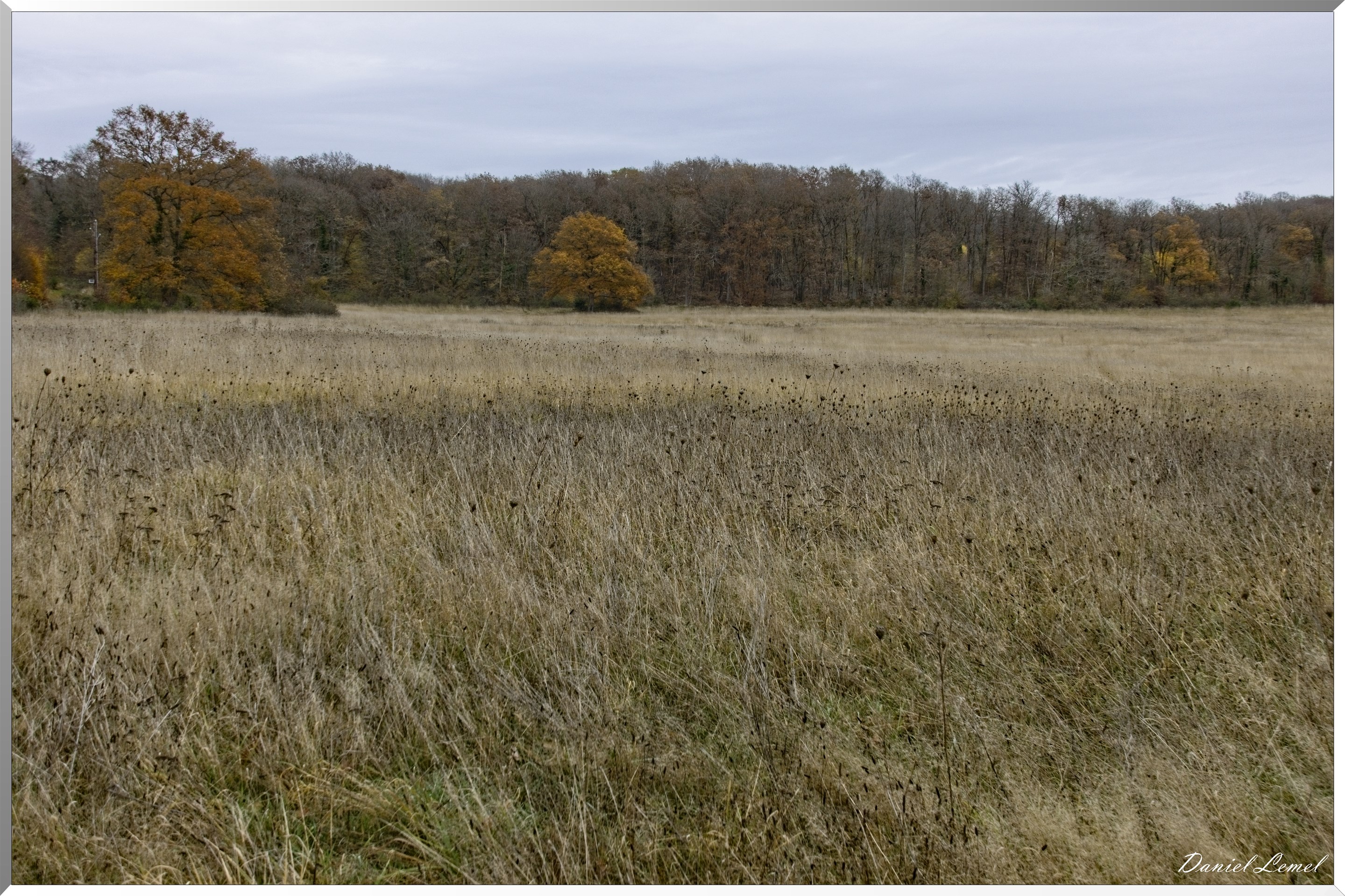 Les-collines de Vernonnet