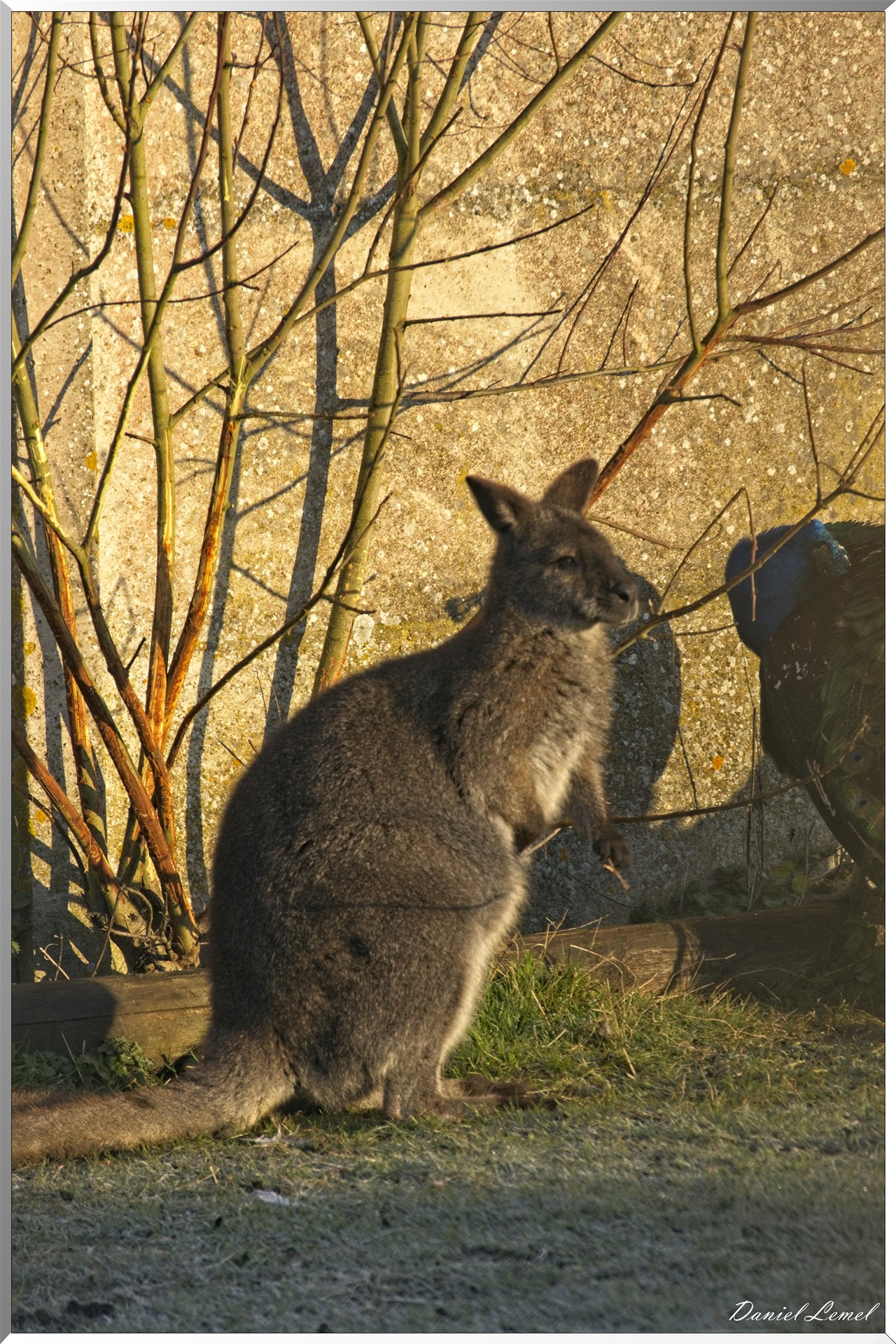 Bois-Jérôme-Saint-Ouen