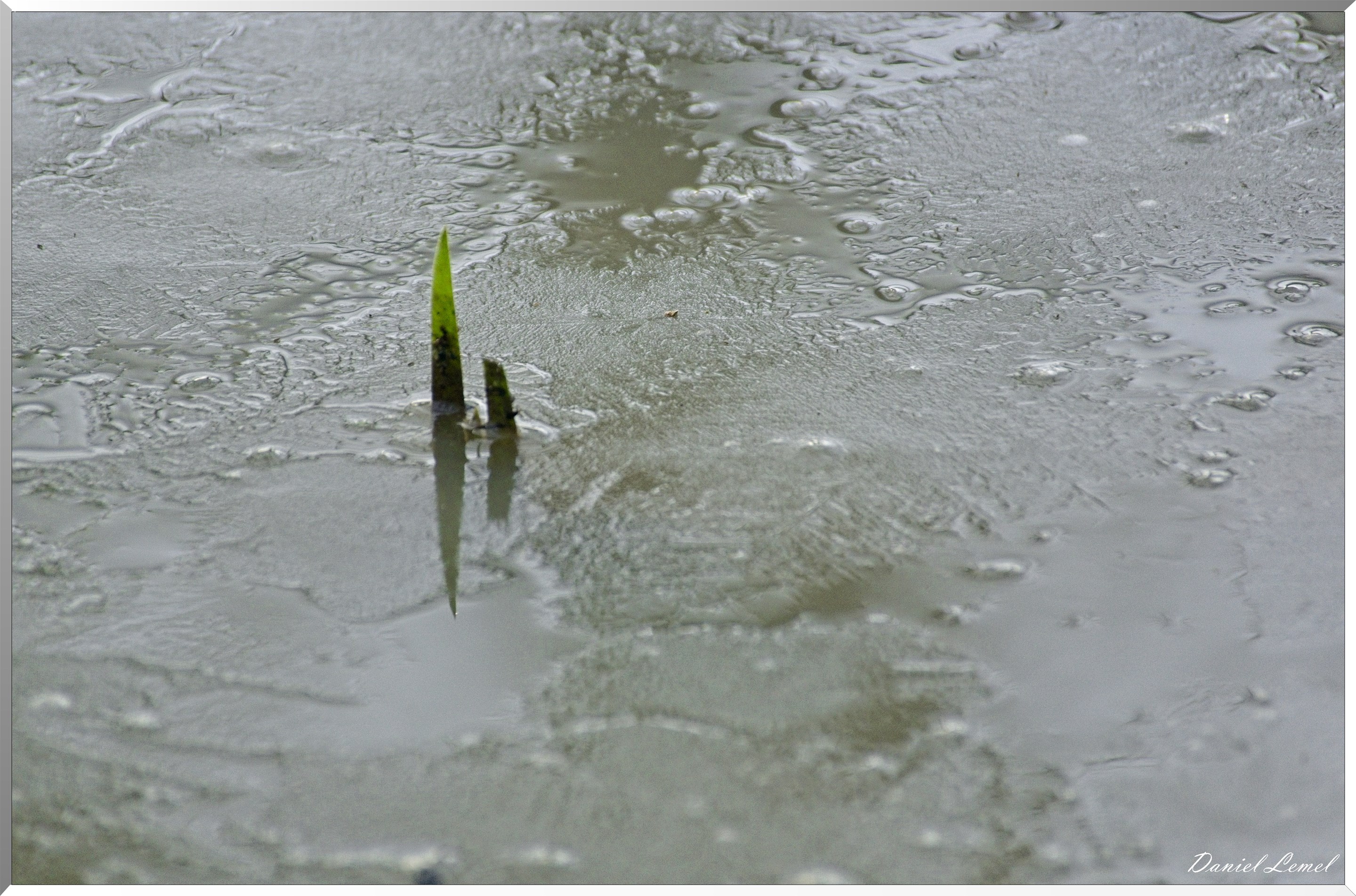 Bois-Jérôme-Saint-Ouen