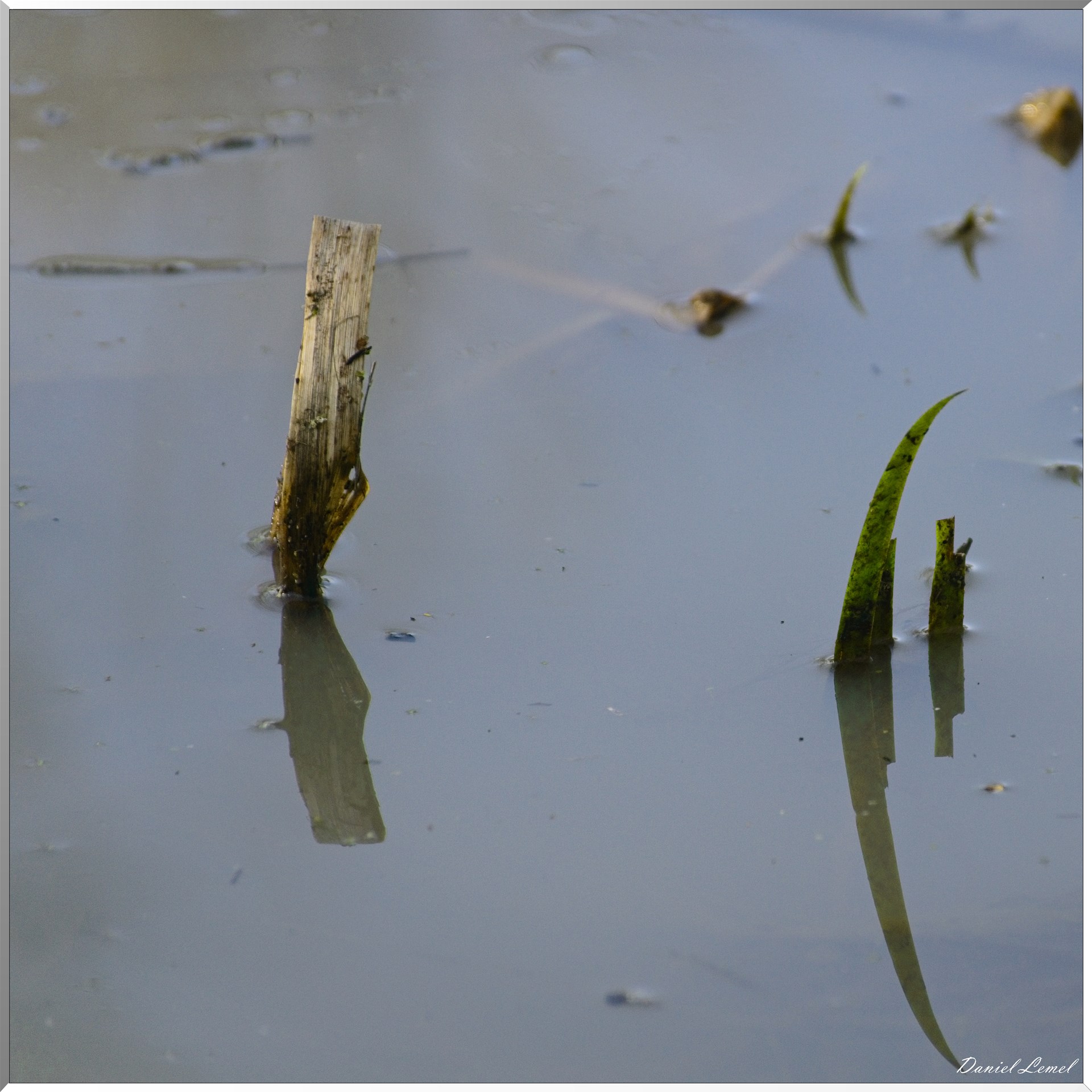 Bois-Jérôme-Saint-Ouen