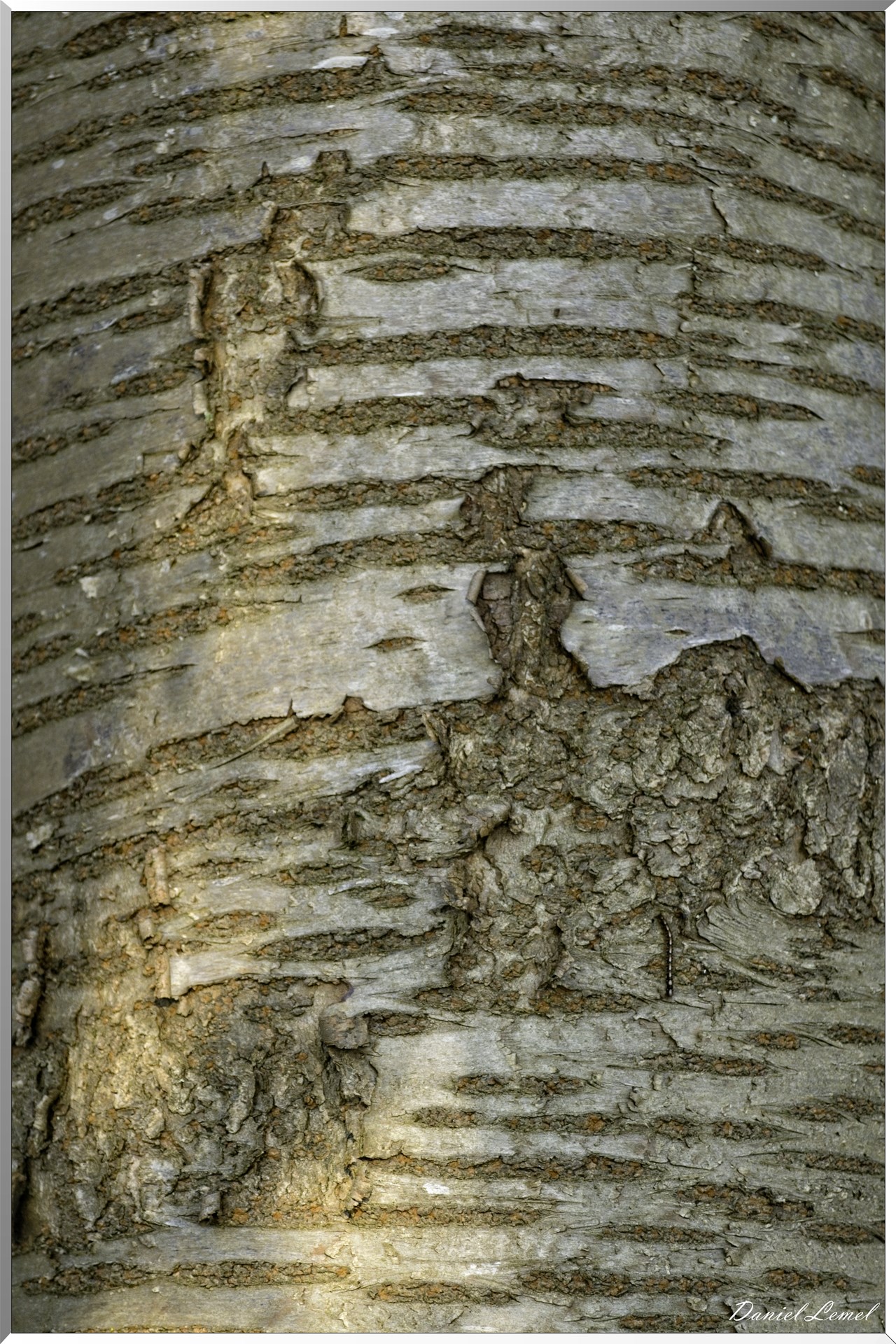 Bois-Jérôme-Saint-Ouen