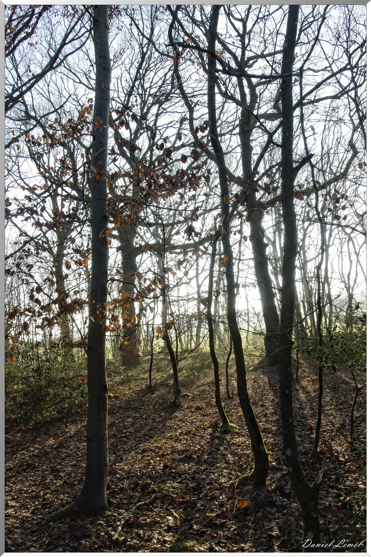 Bois-Jérôme-Saint-Ouen