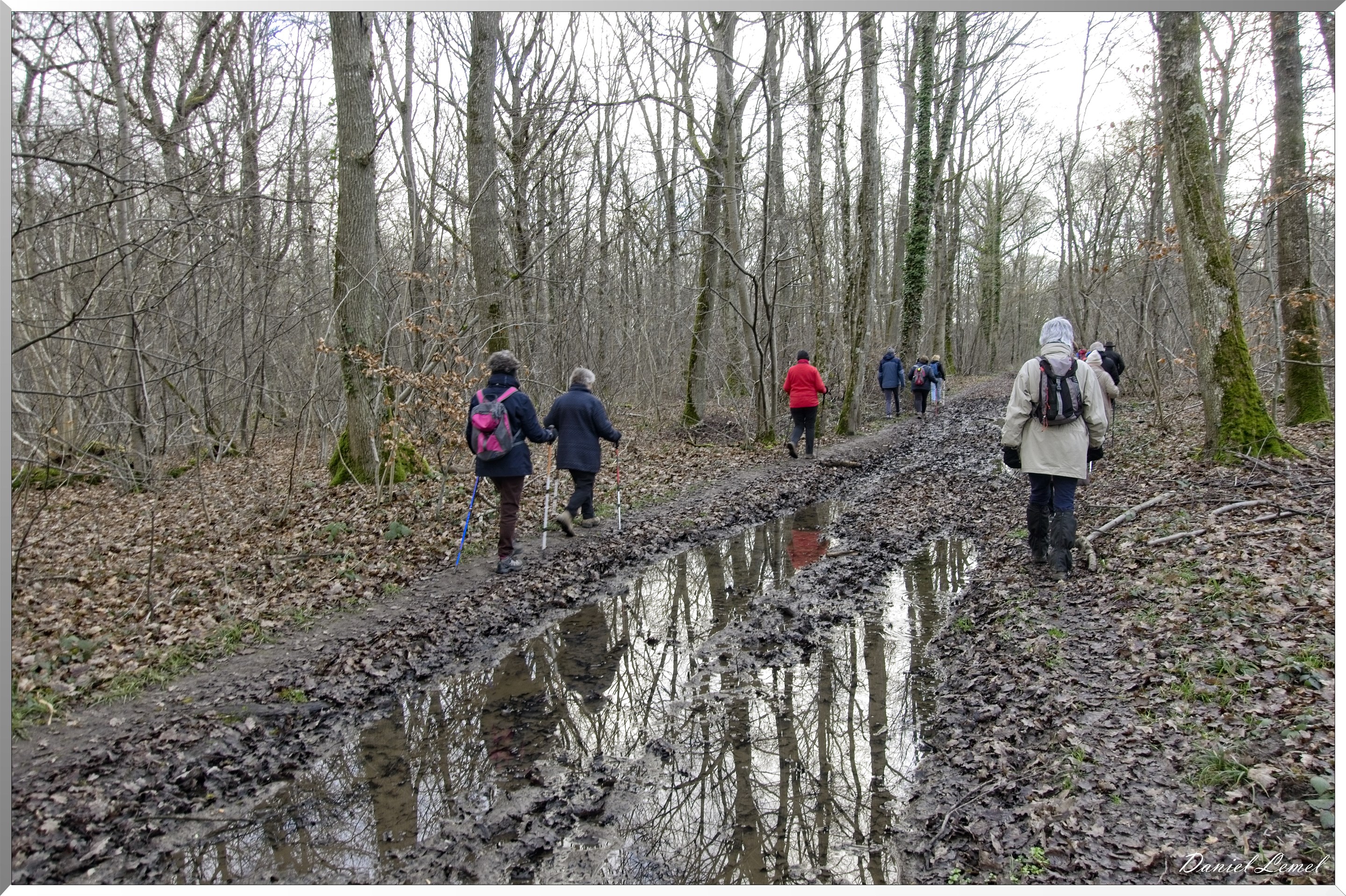 Arborétum de la Roche-Guyon