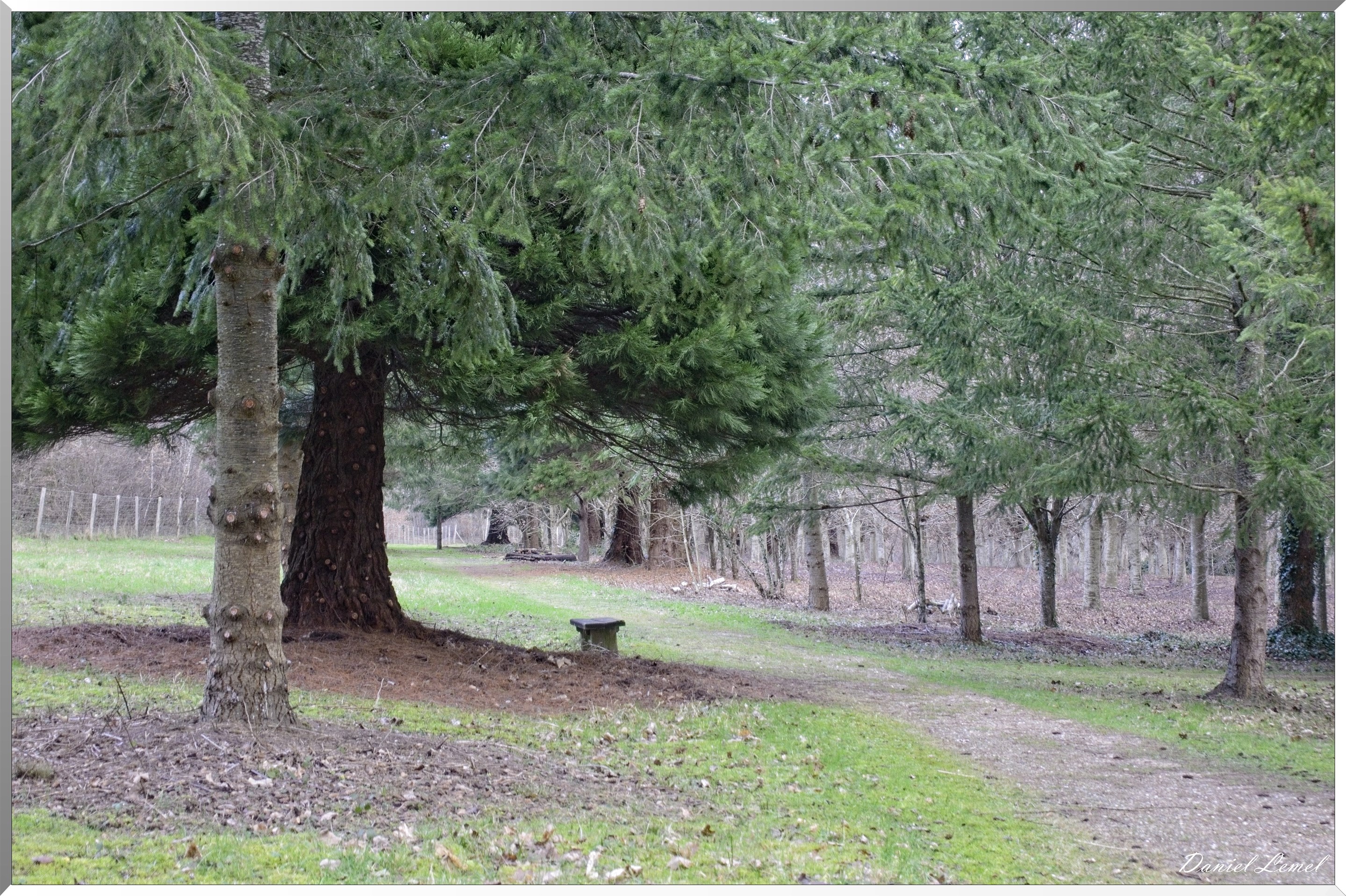 Arborétum de la Roche-Guyon
