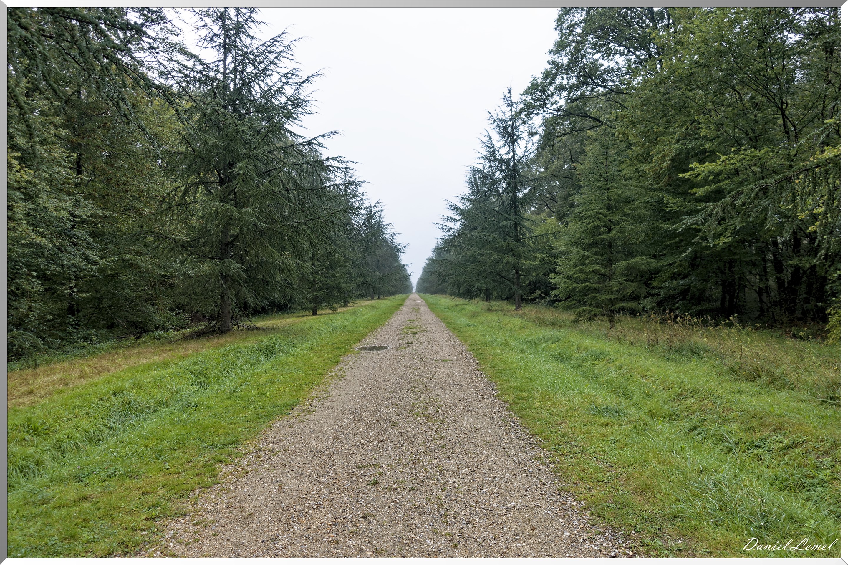 Arborétum de la Roche-Guyon