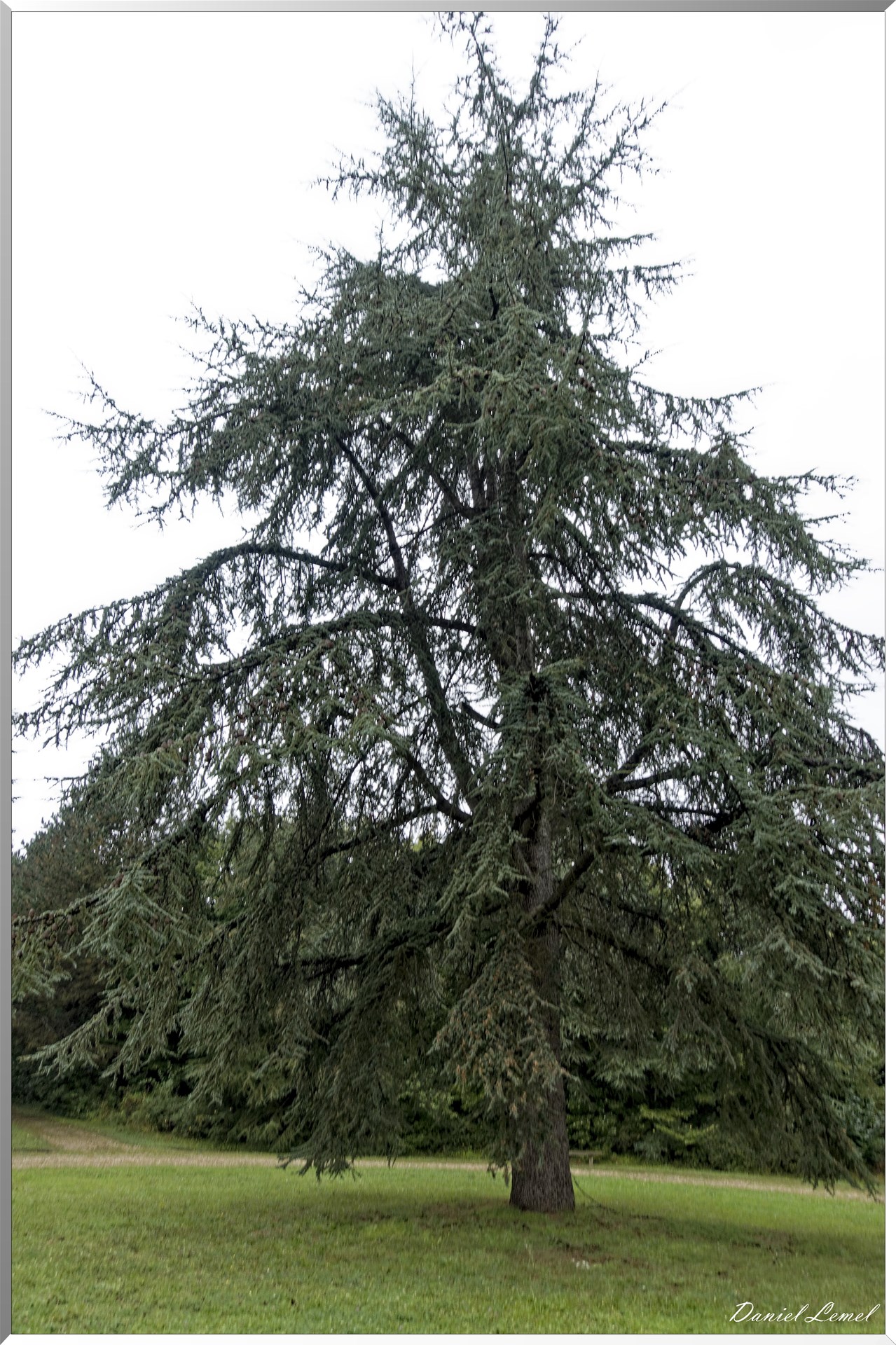 Arborétum de la Roche-Guyon