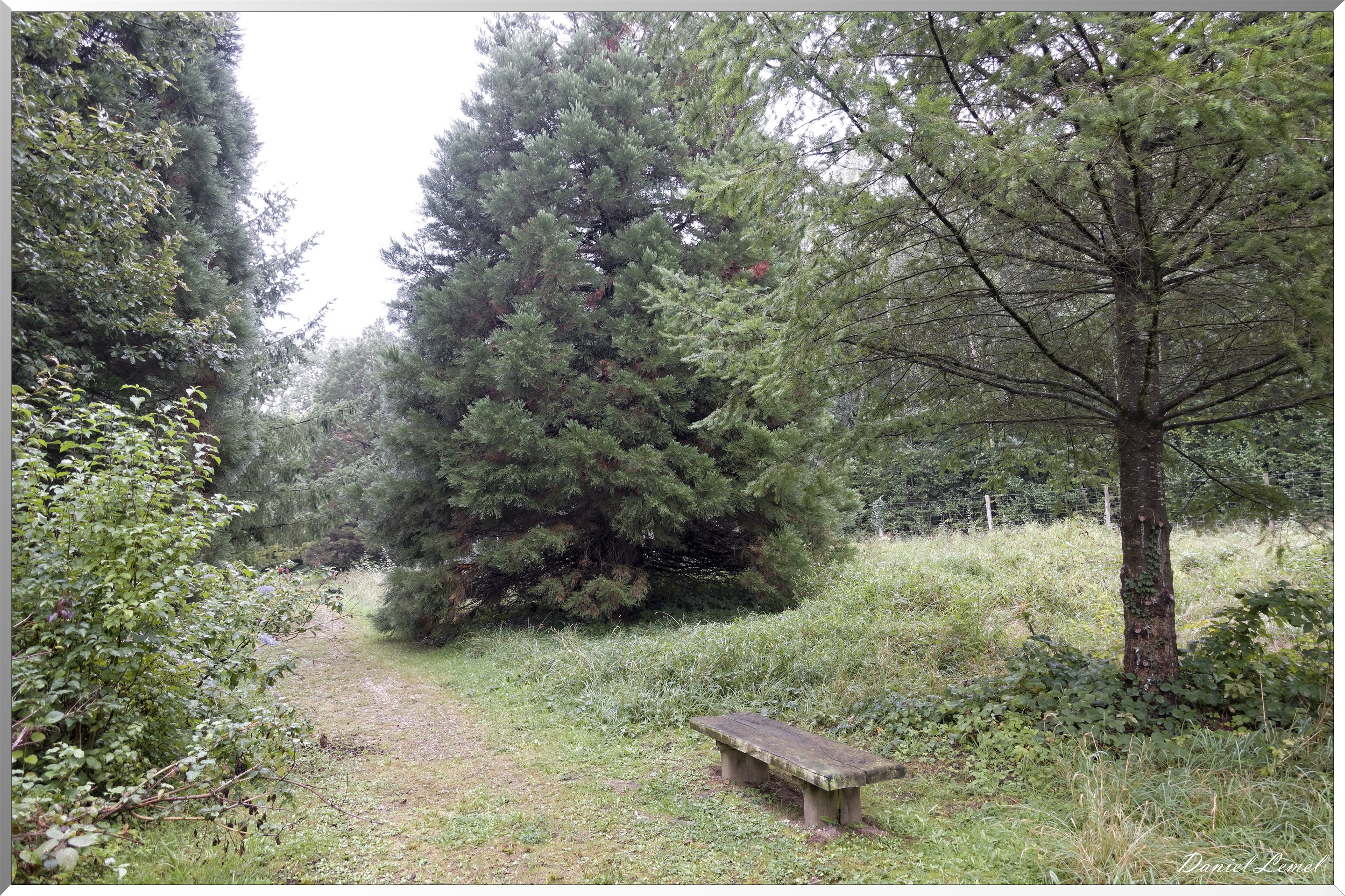 Arborétum de la Roche-Guyon