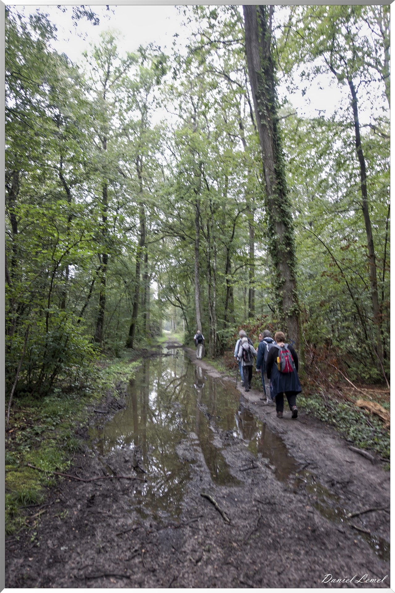 Arborétum de la Roche-Guyon