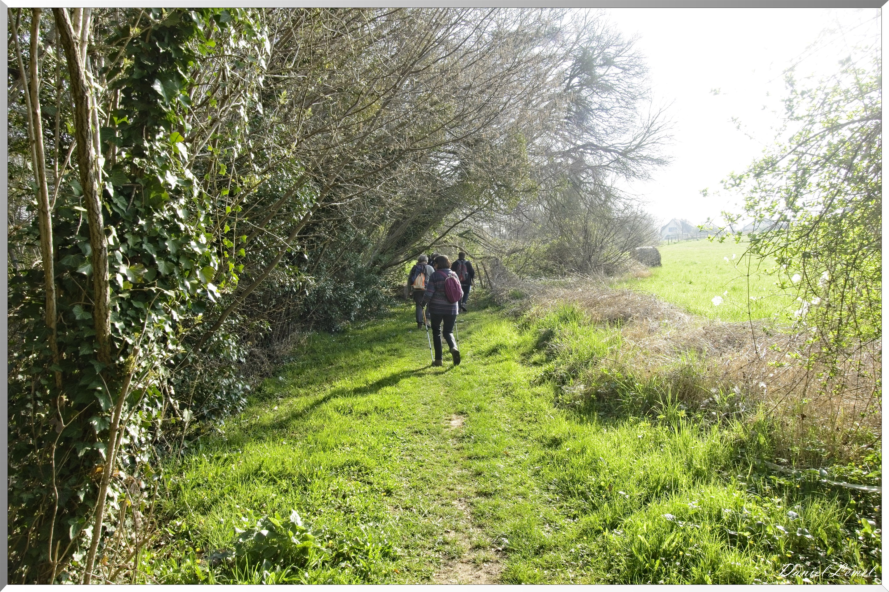 Les côteaux de Saint-Marcel