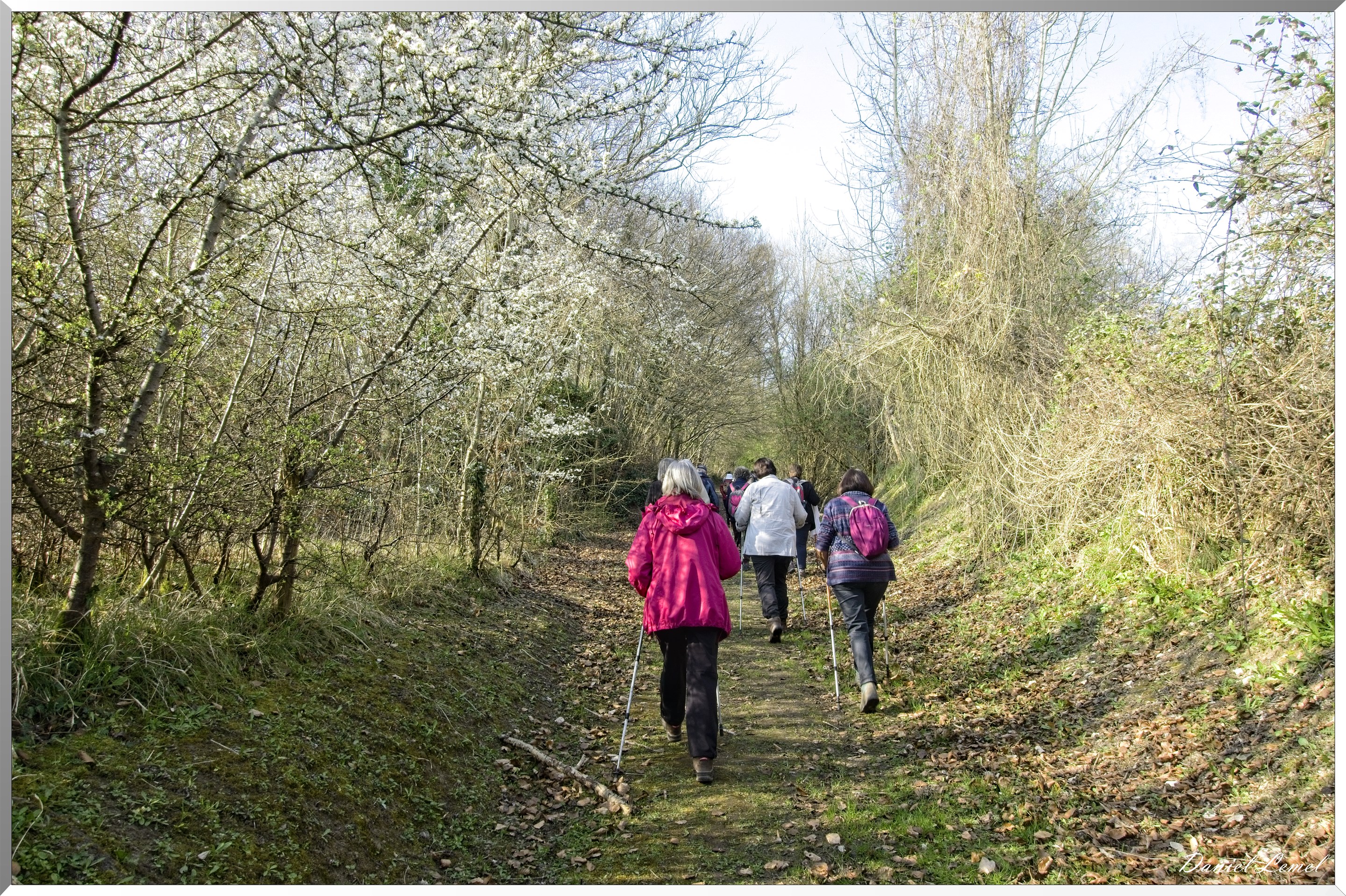 Les côteaux de Saint-Marcel
