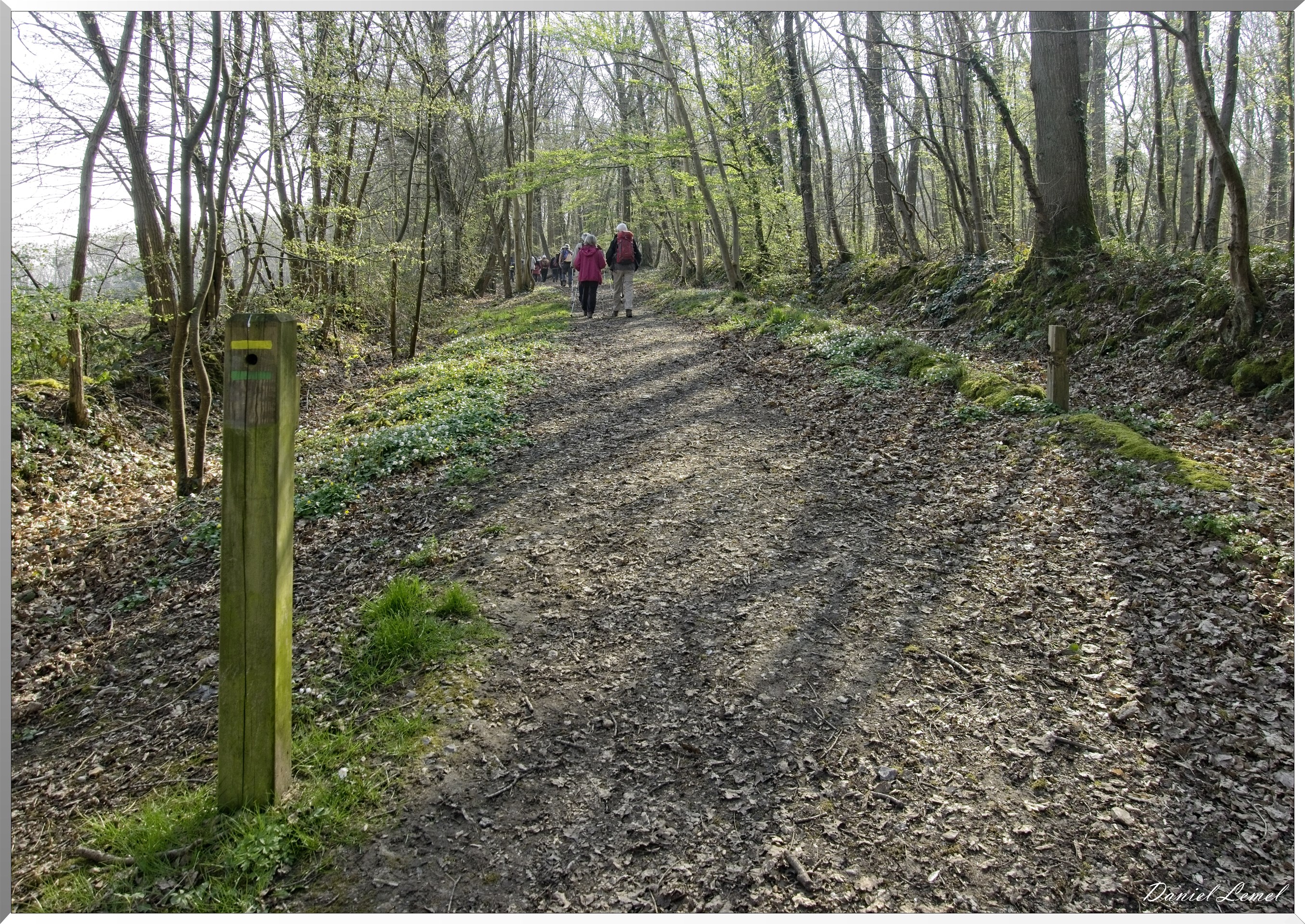 Les côteaux de Saint-Marcel