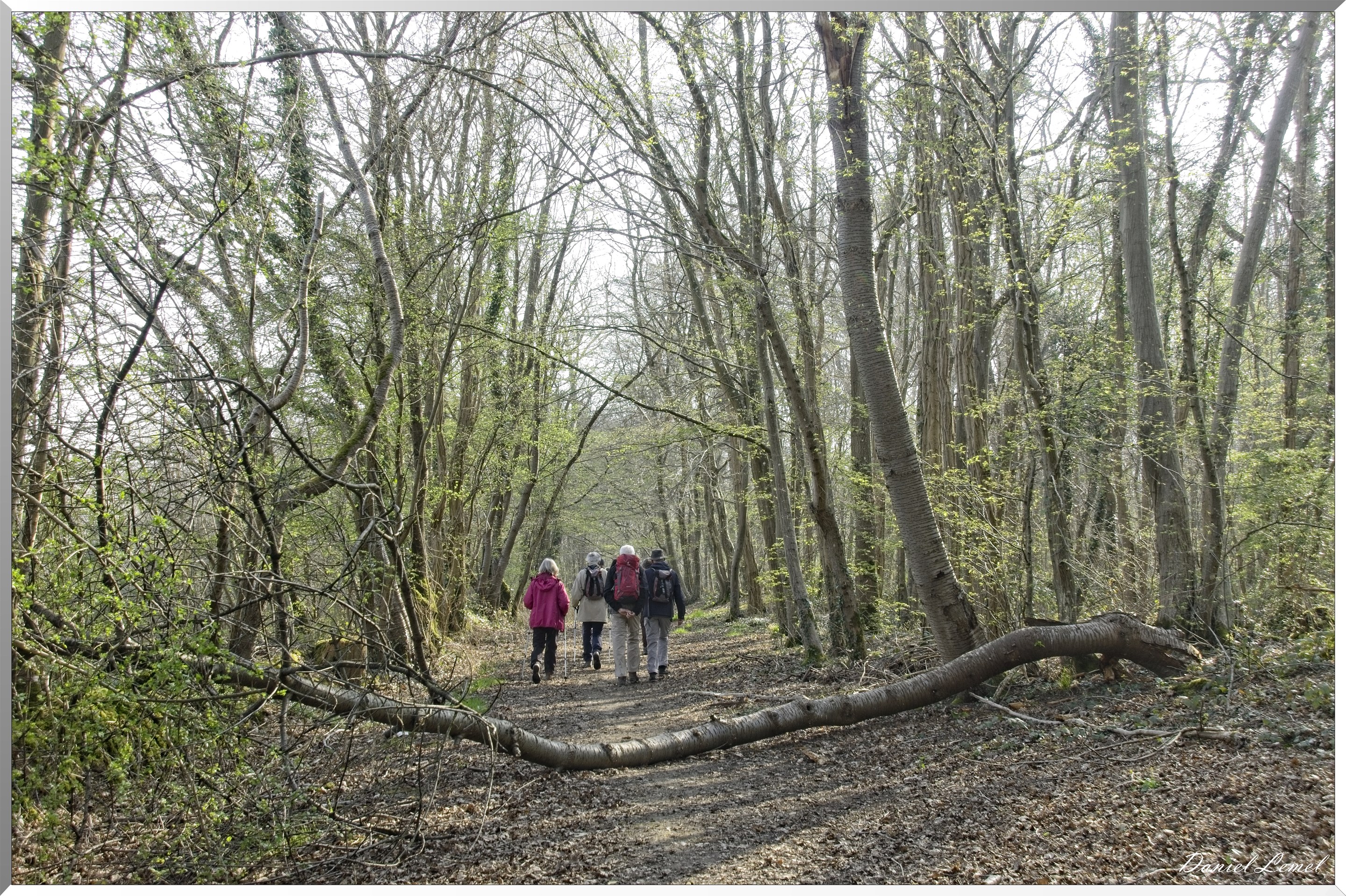 Les côteaux de Saint-Marcel