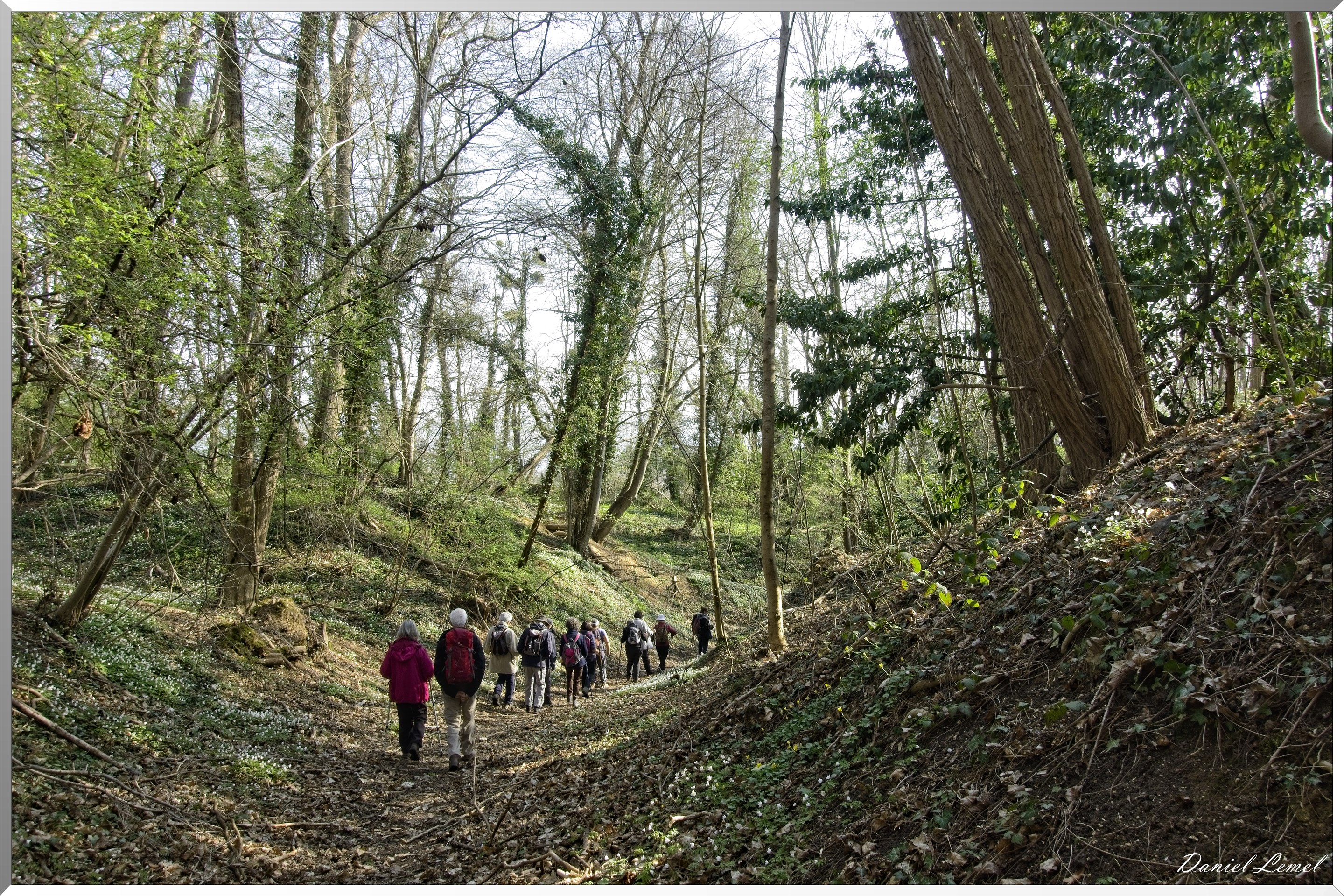 Les côteaux de Saint-Marcel