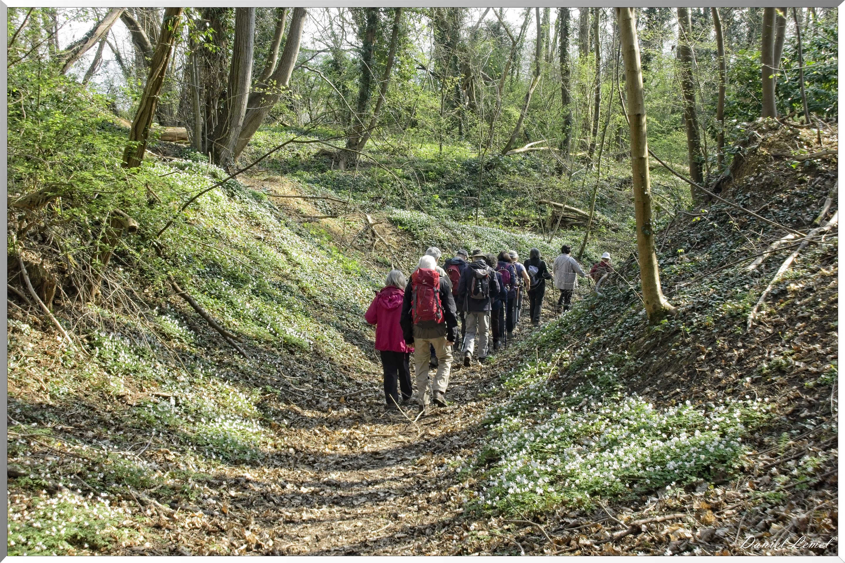 Les côteaux de Saint-Marcel