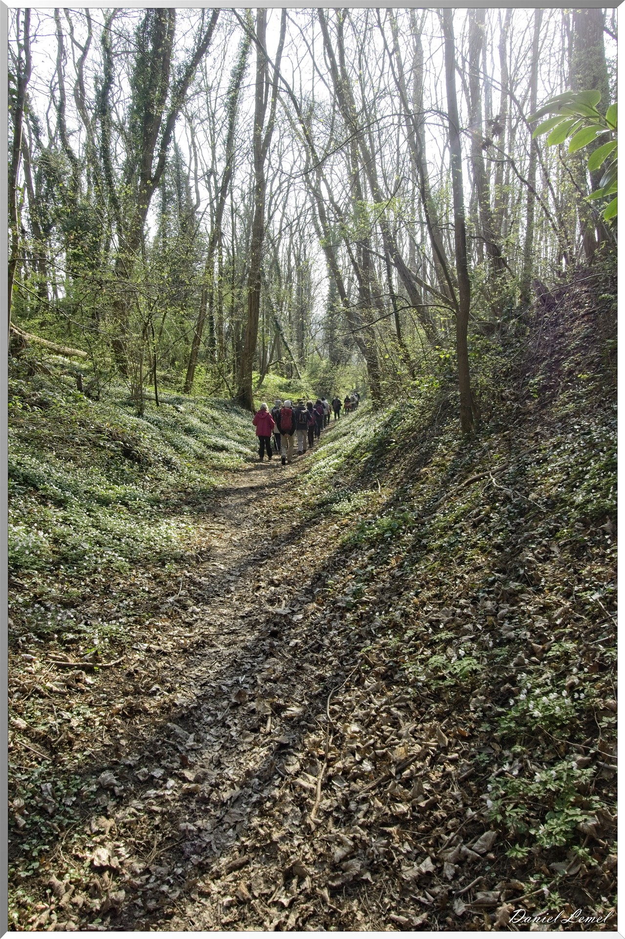 Les côteaux de Saint-Marcel