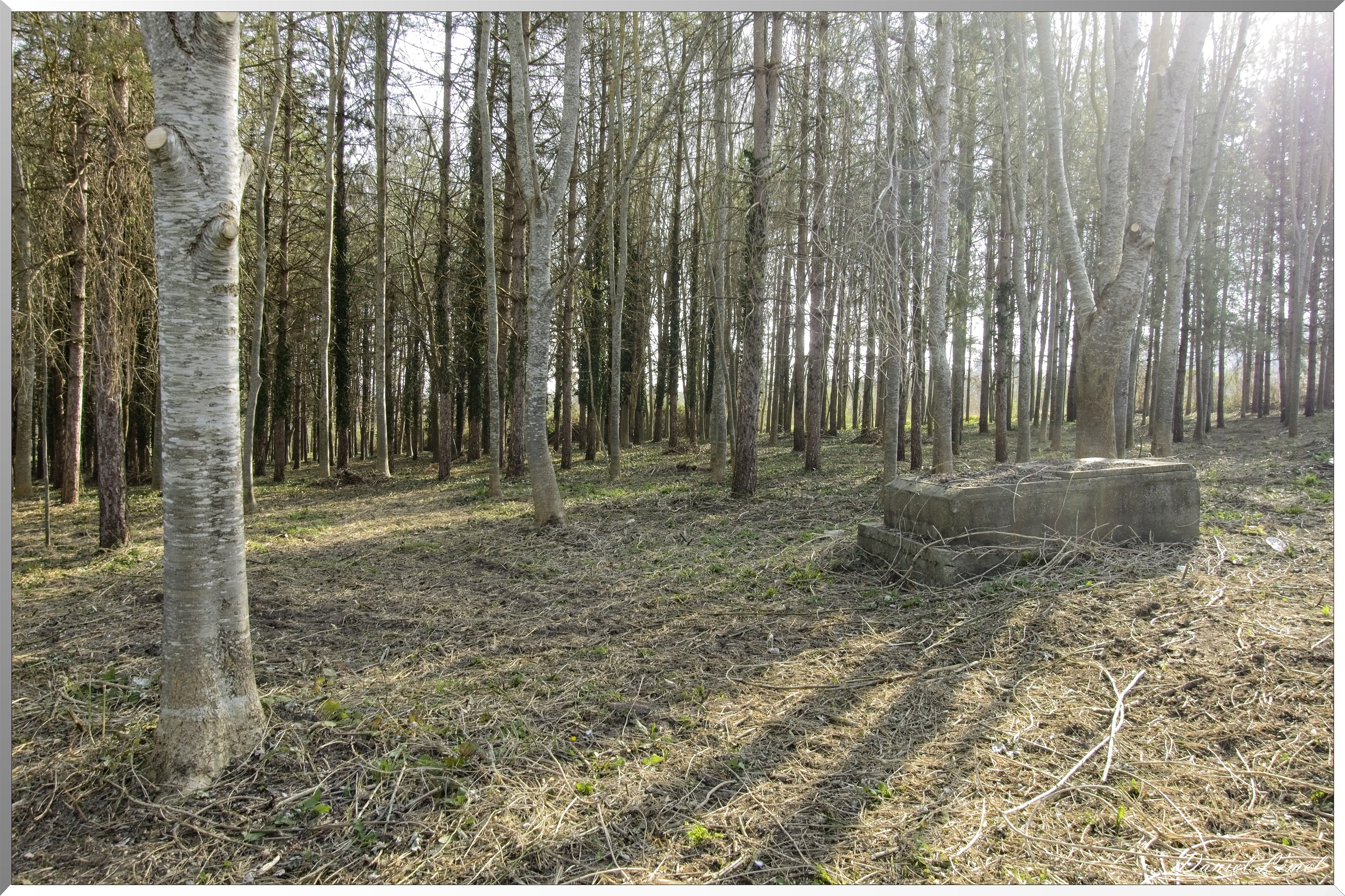 Les côteaux de Saint-Marcel