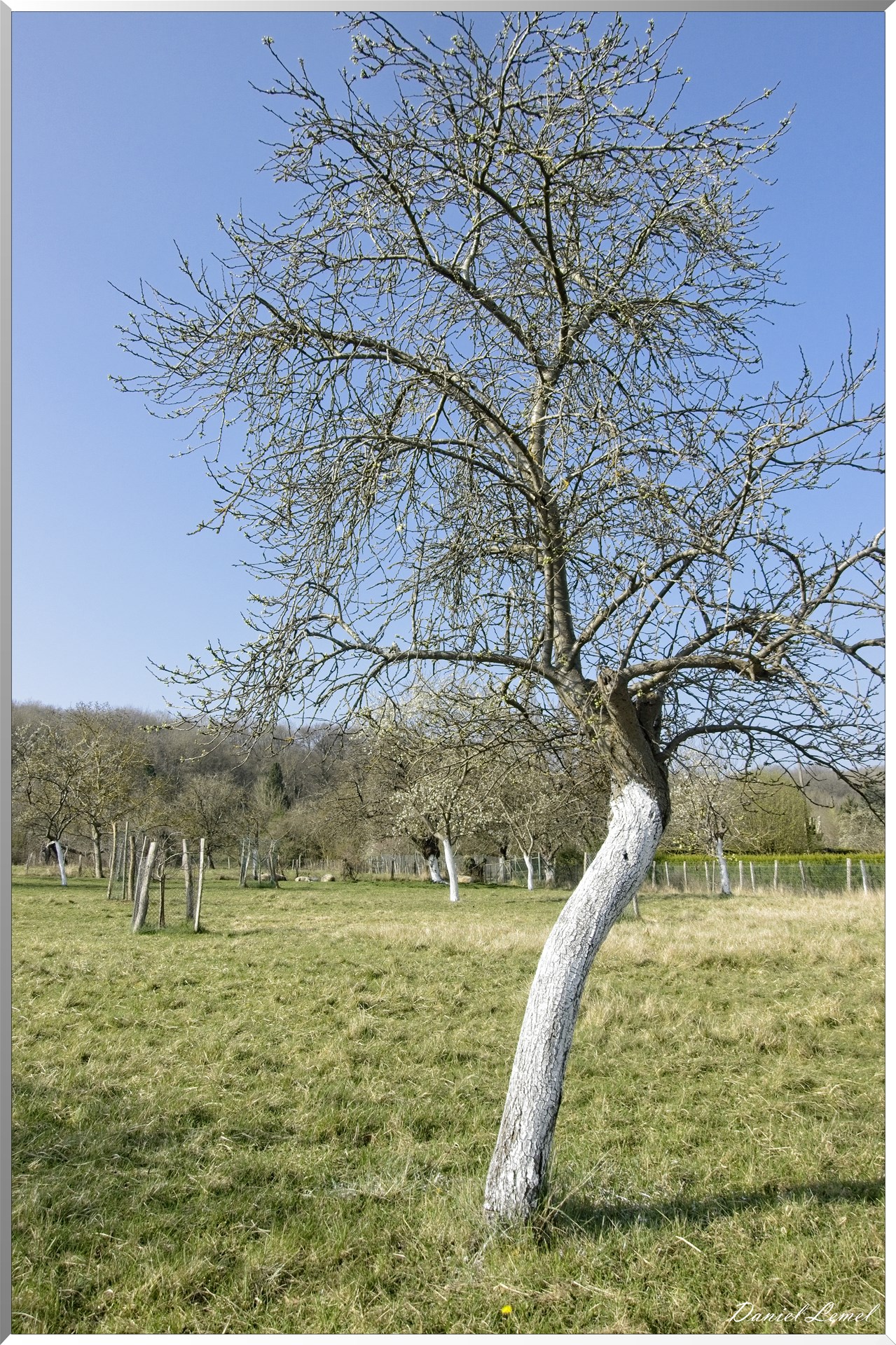 Les côteaux de Saint-Marcel