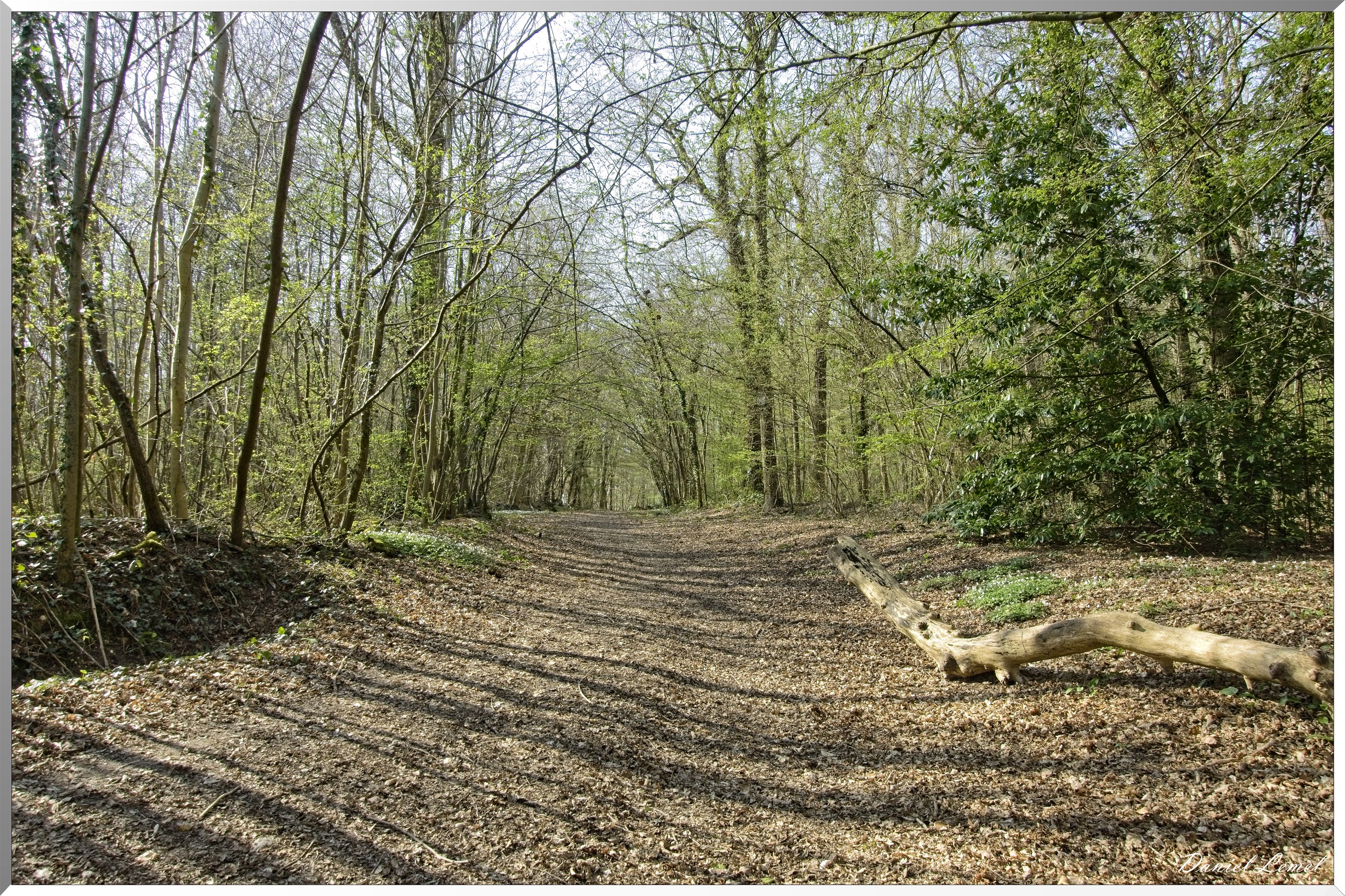 Les côteaux de Saint-Marcel