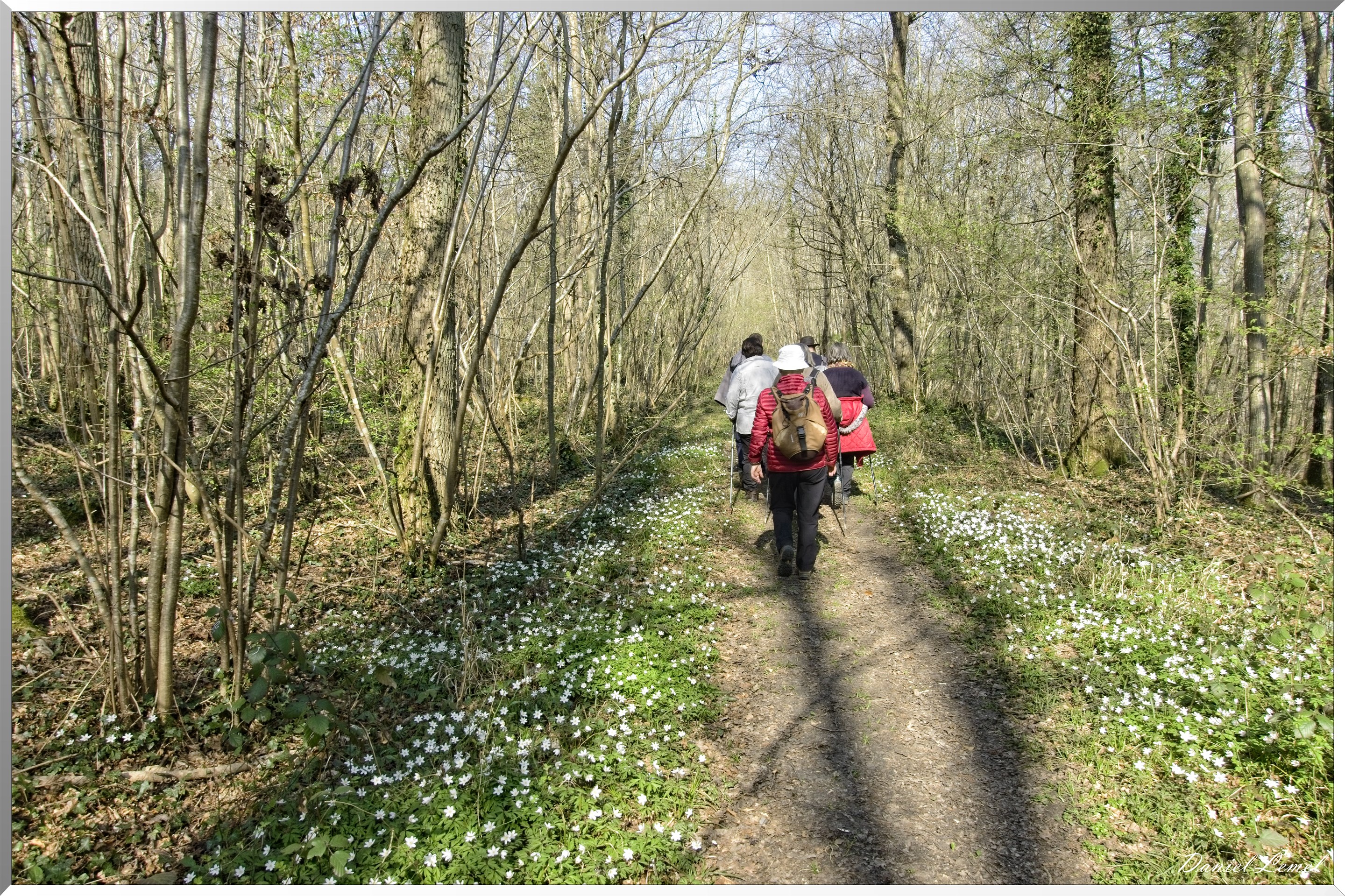 Les côteaux de Saint-Marcel