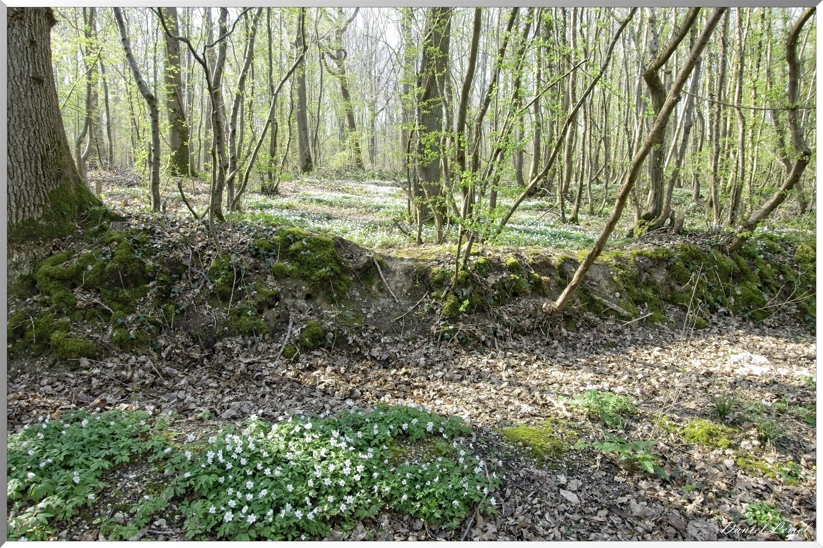 Les côteaux de Saint-Marcel