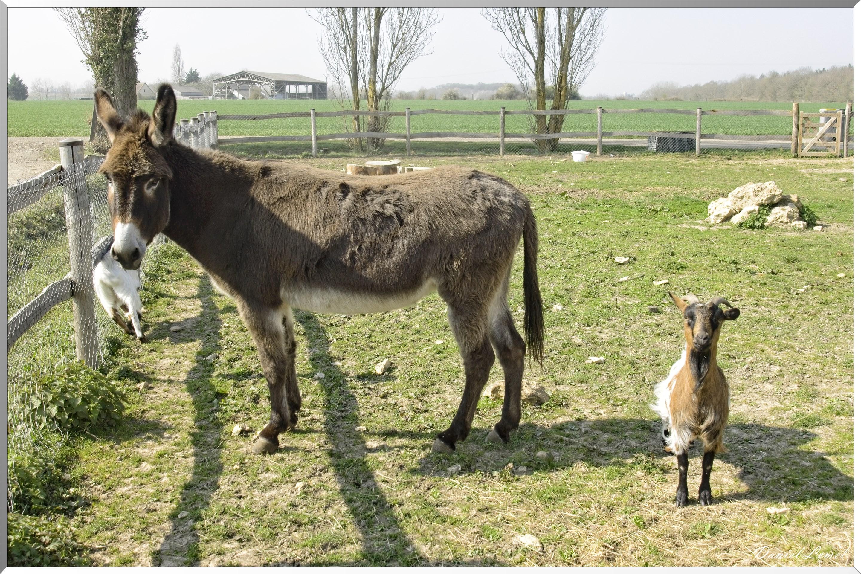 Les côteaux de Saint-Marcel