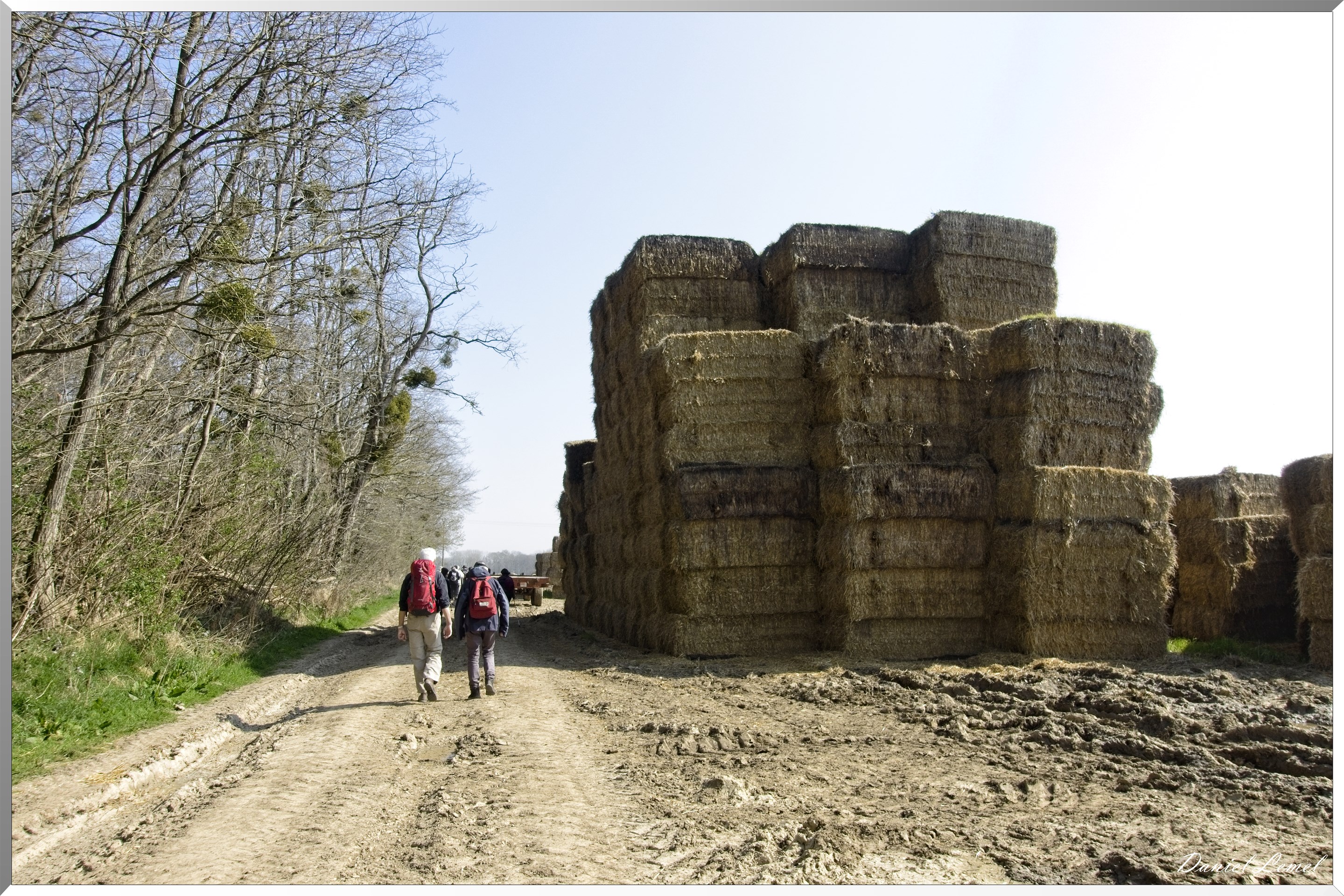 Les côteaux de Saint-Marcel