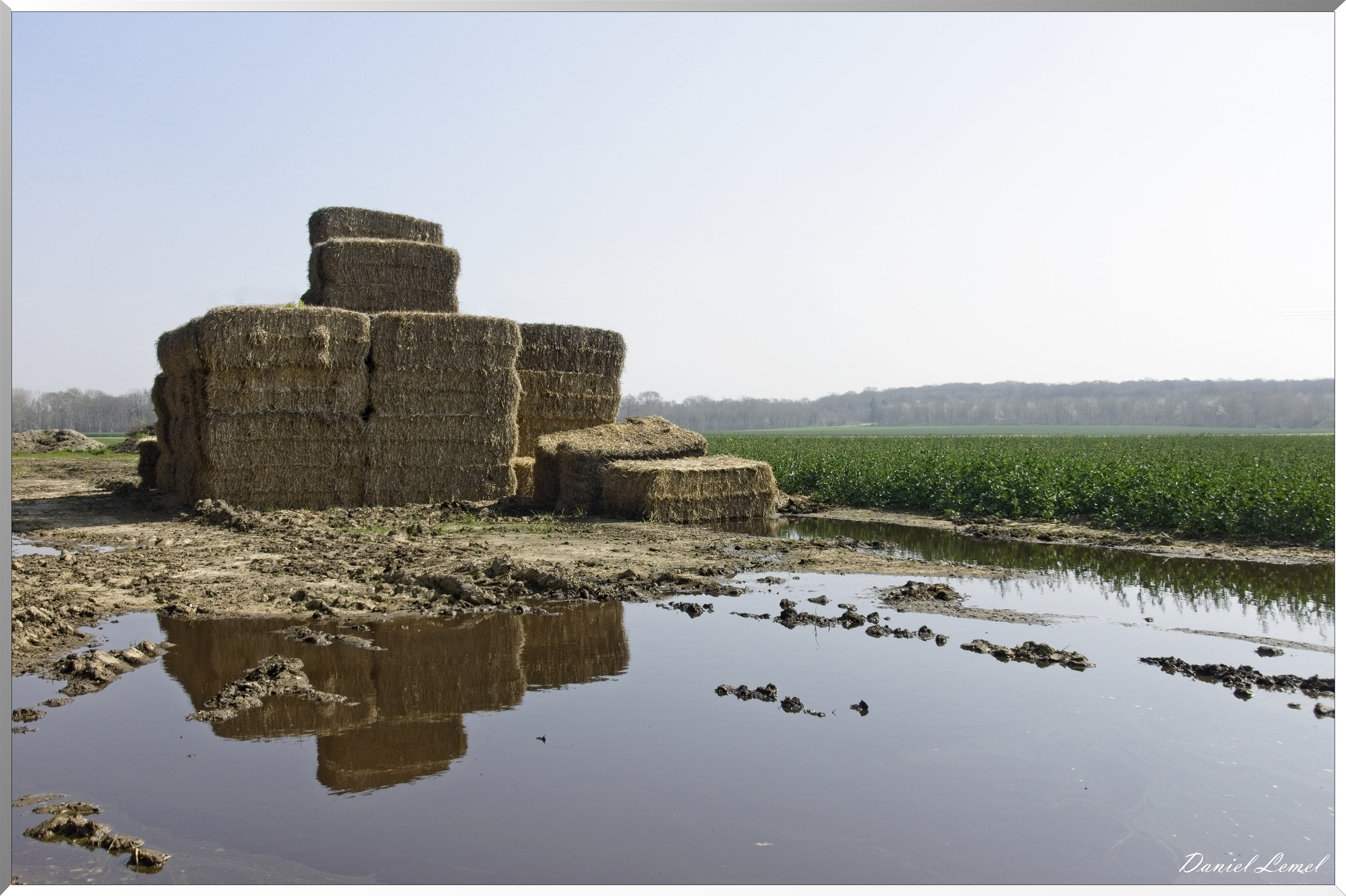 Les côteaux de Saint-Marcel