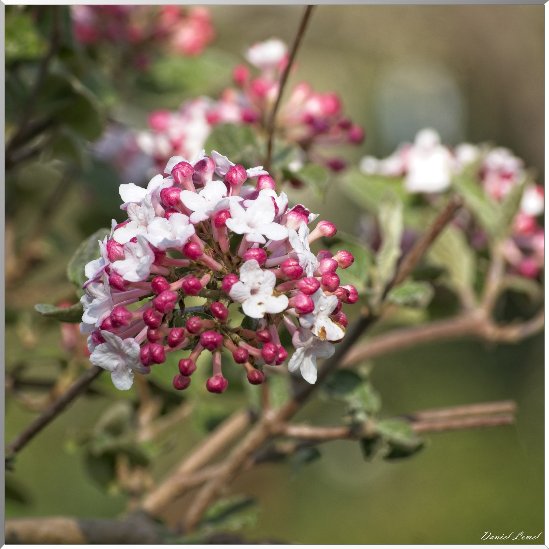Les côteaux de Saint-Marcel